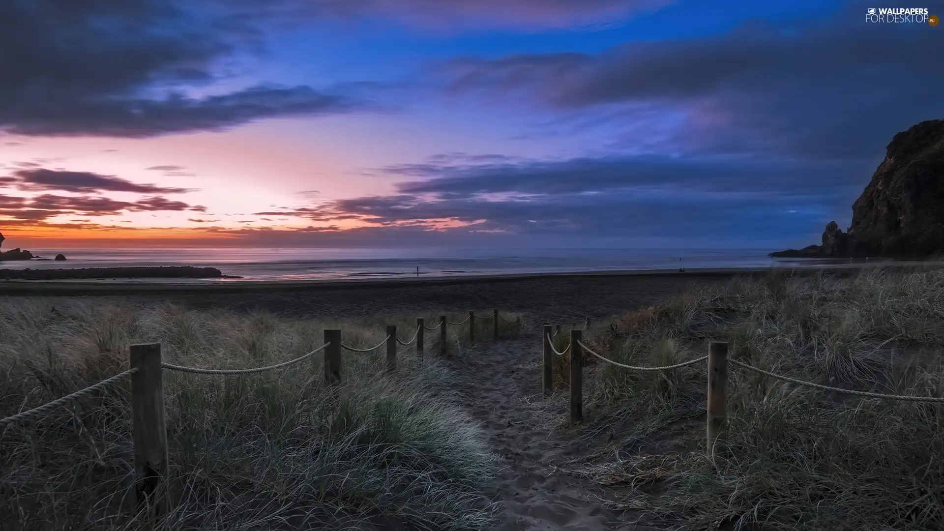 sea, sun, grass, west