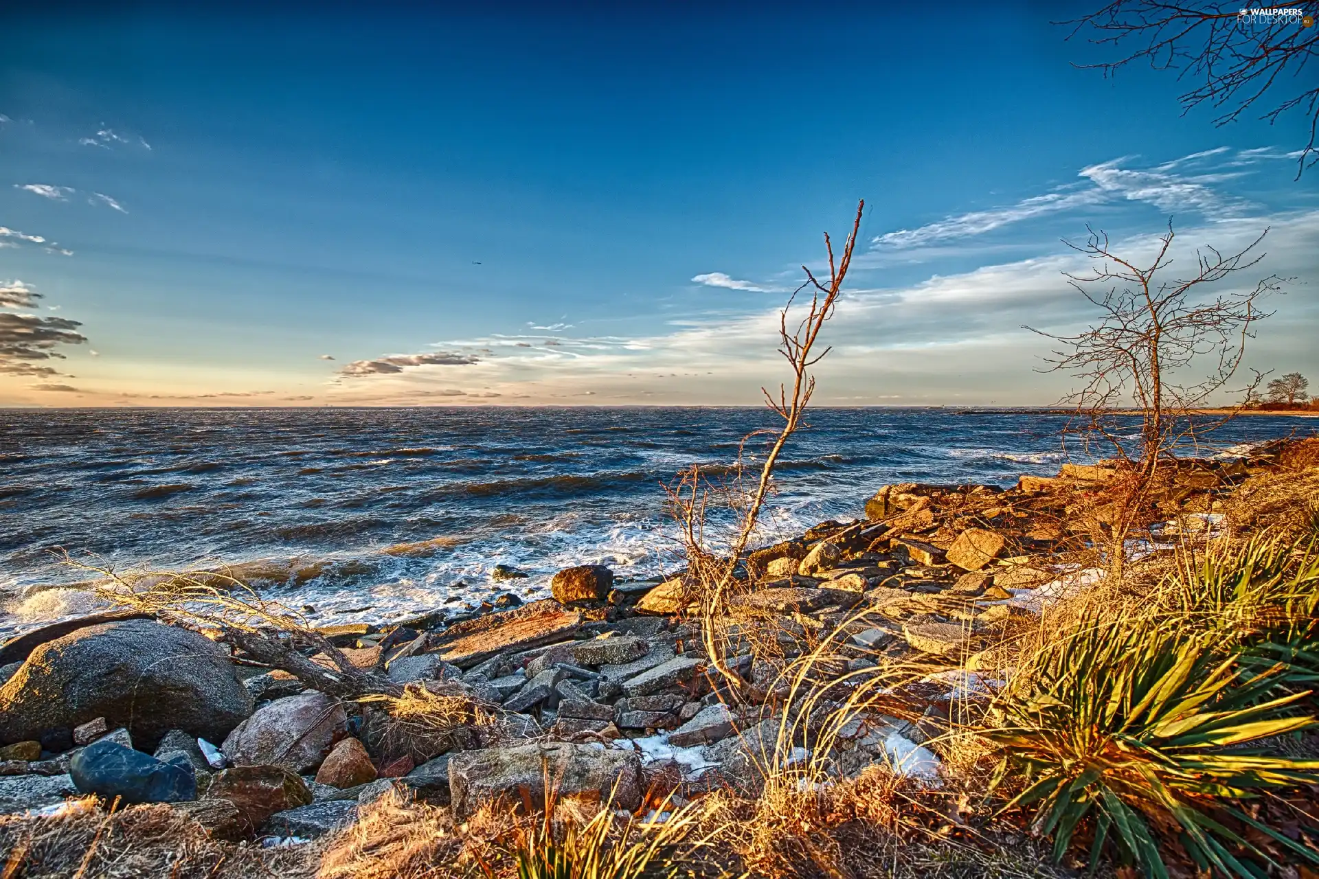 grass, sea, Stones