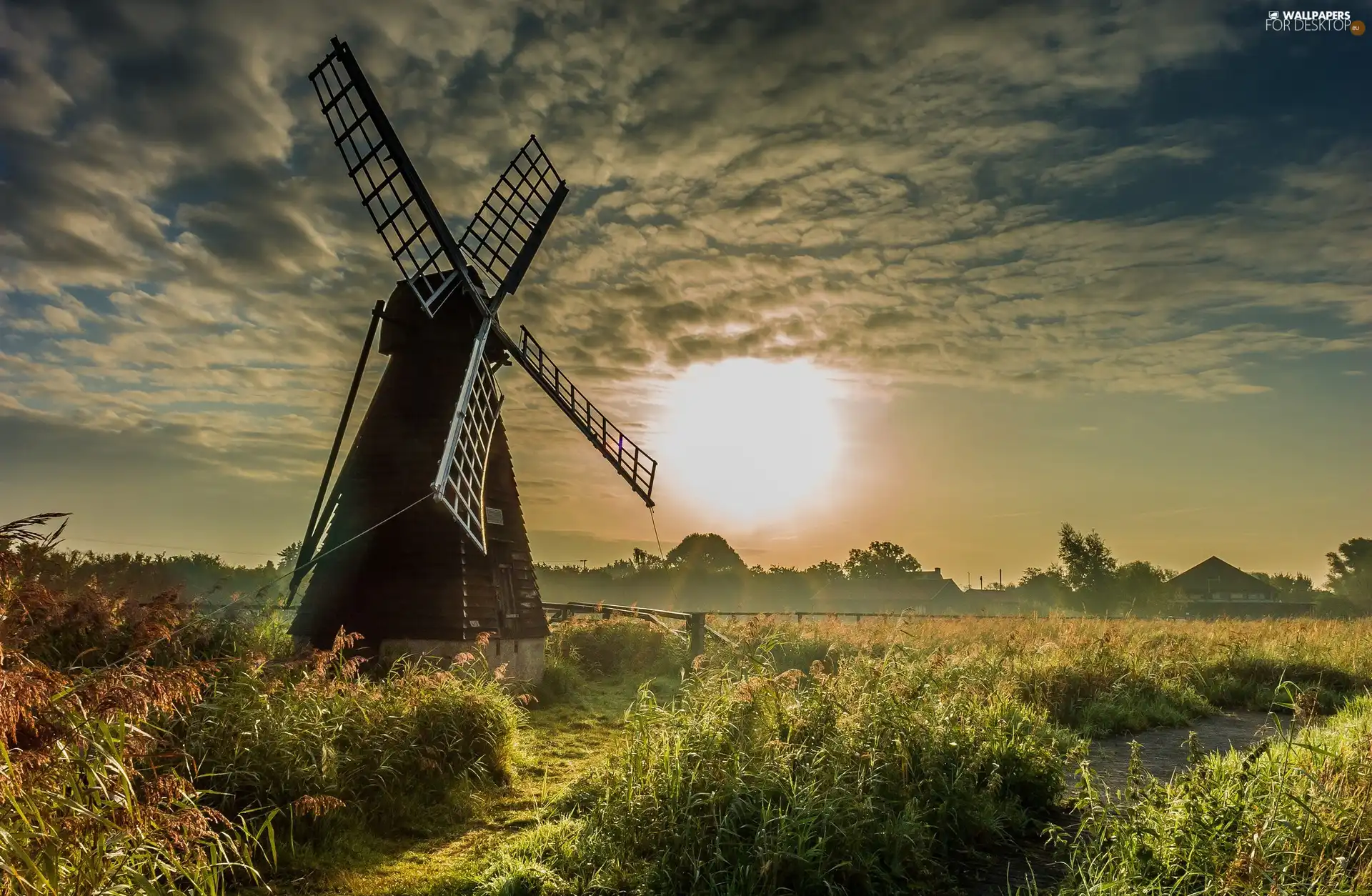 grass, Windmill, sun