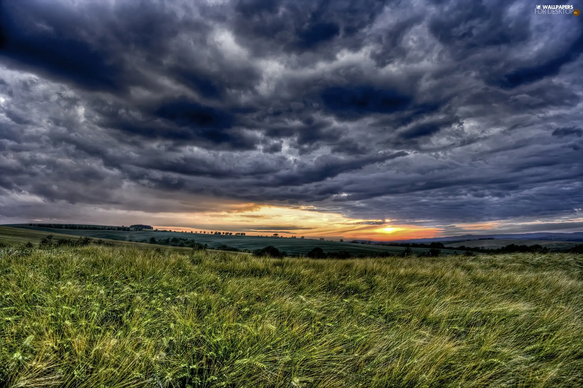 west, clouds, grass, sun