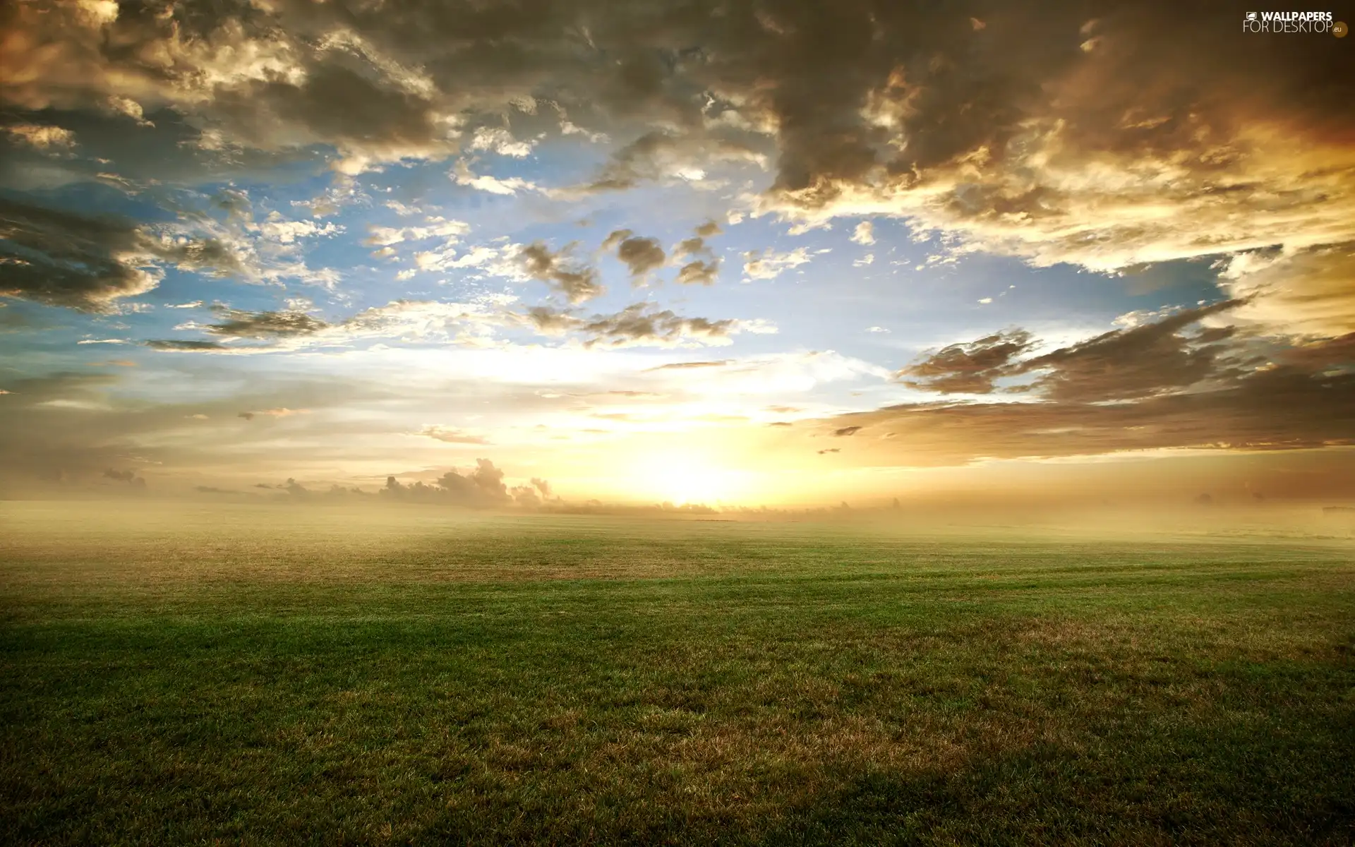 west, Meadow, grass, sun