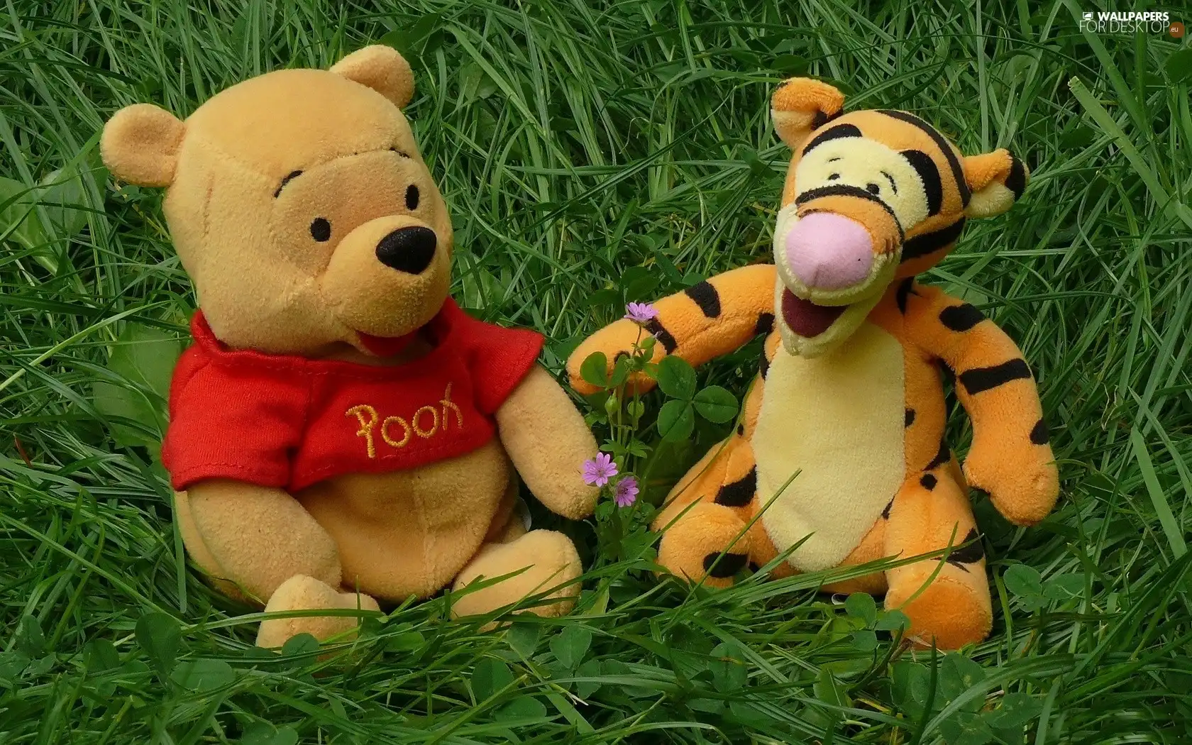 Winnie, Tiger, grass, Puchatek