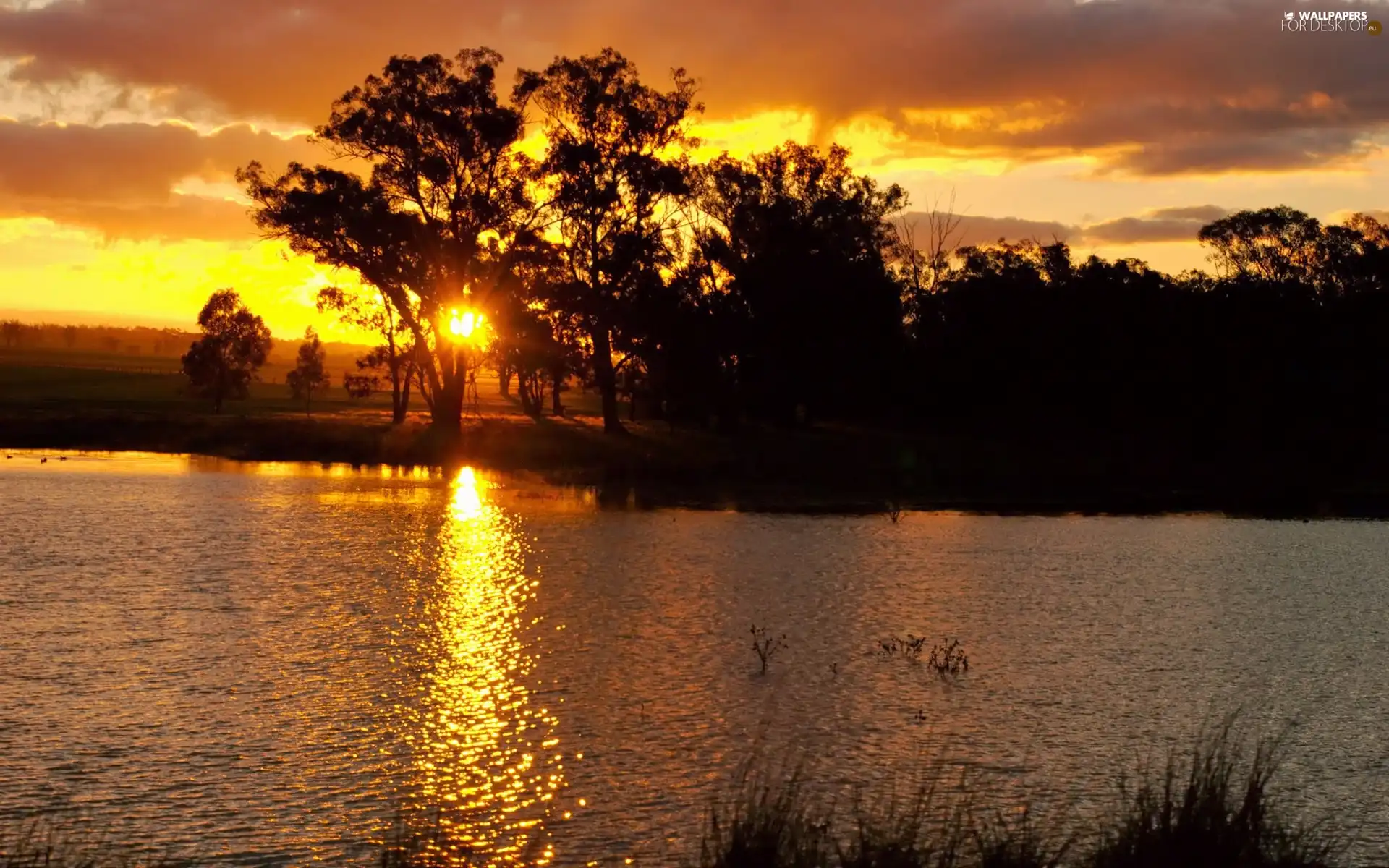 clouds, River, Great Sunsets