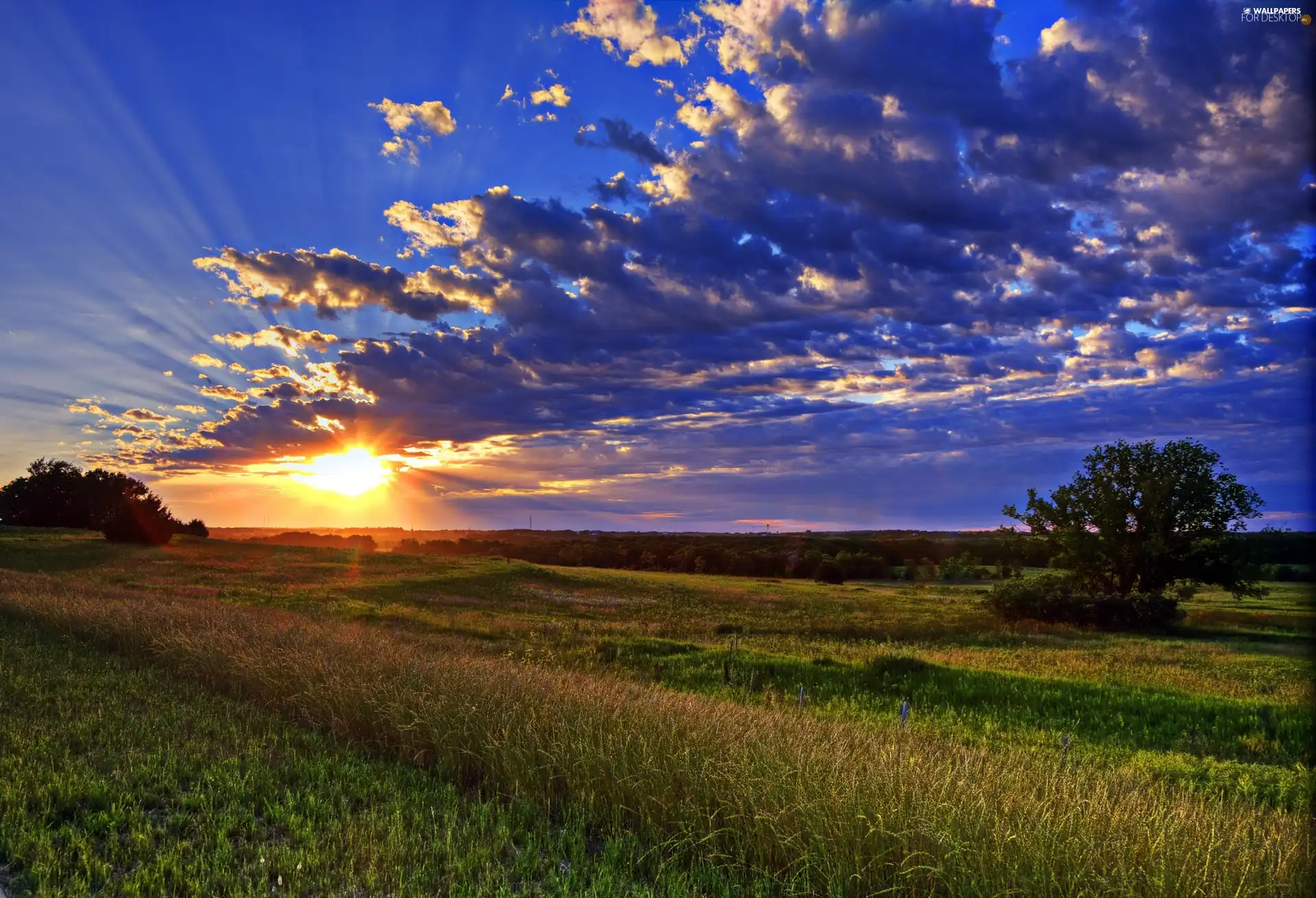 Field, clouds, Great Sunsets, Sky