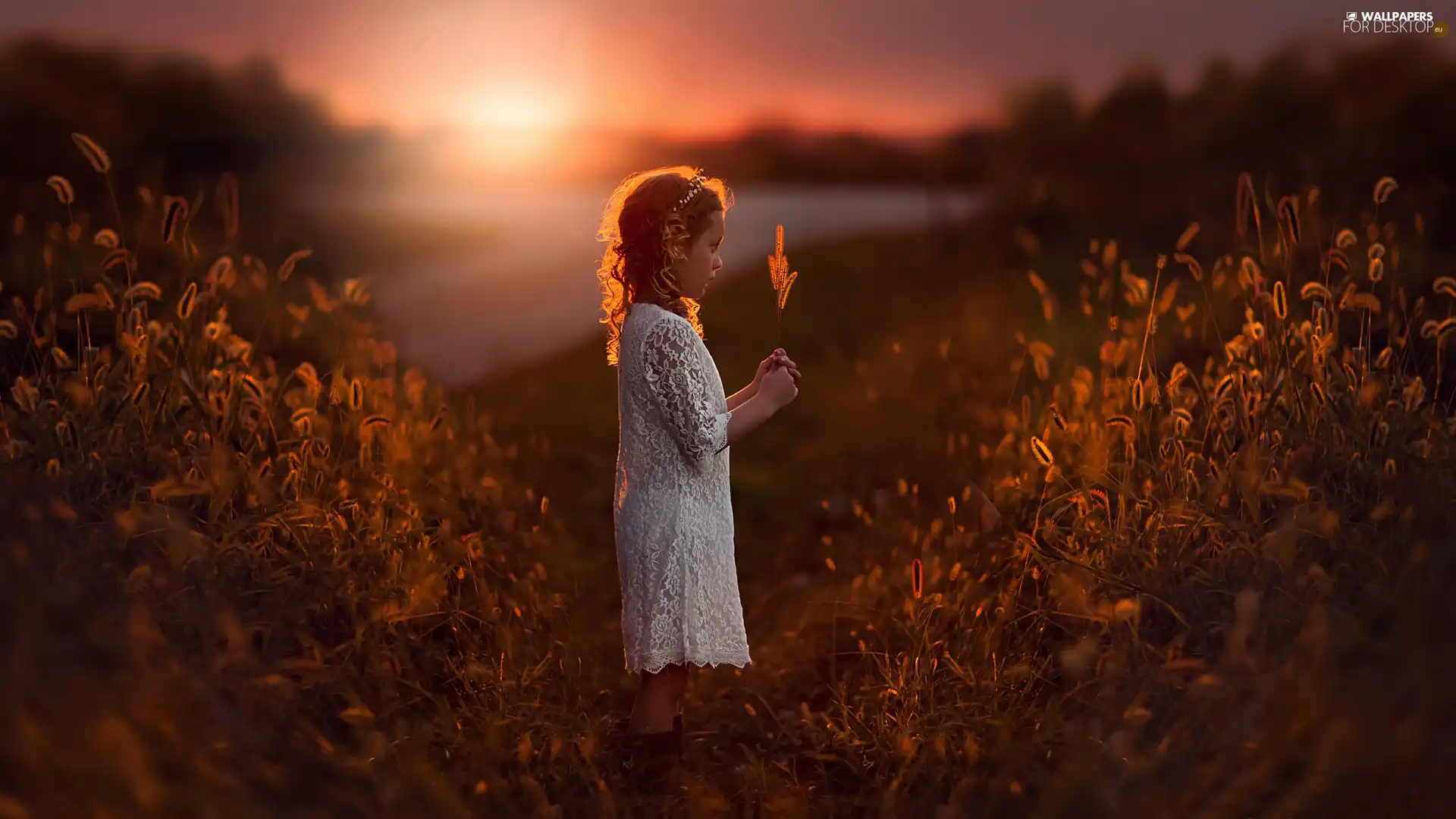 grass, girl, Great Sunsets