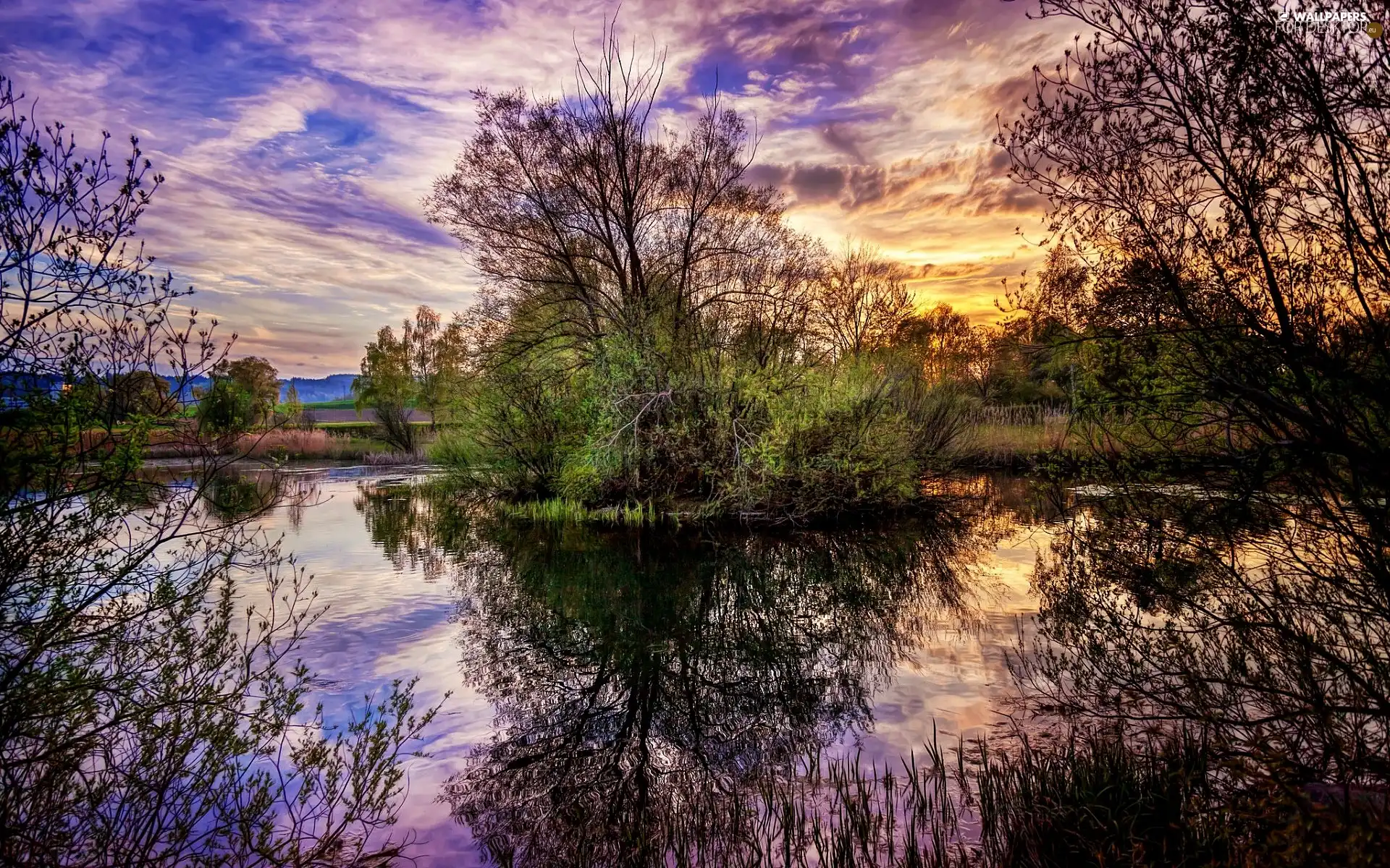 River, viewes, Great Sunsets, trees