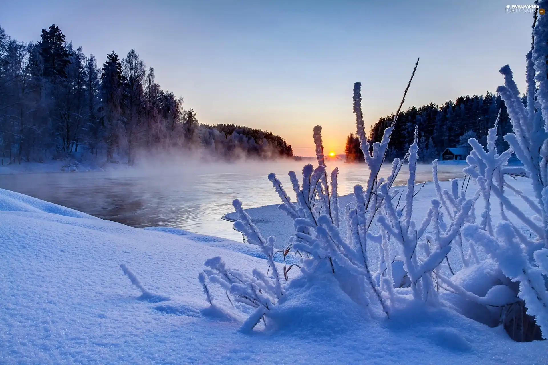 winter, Fog, Great Sunsets, River