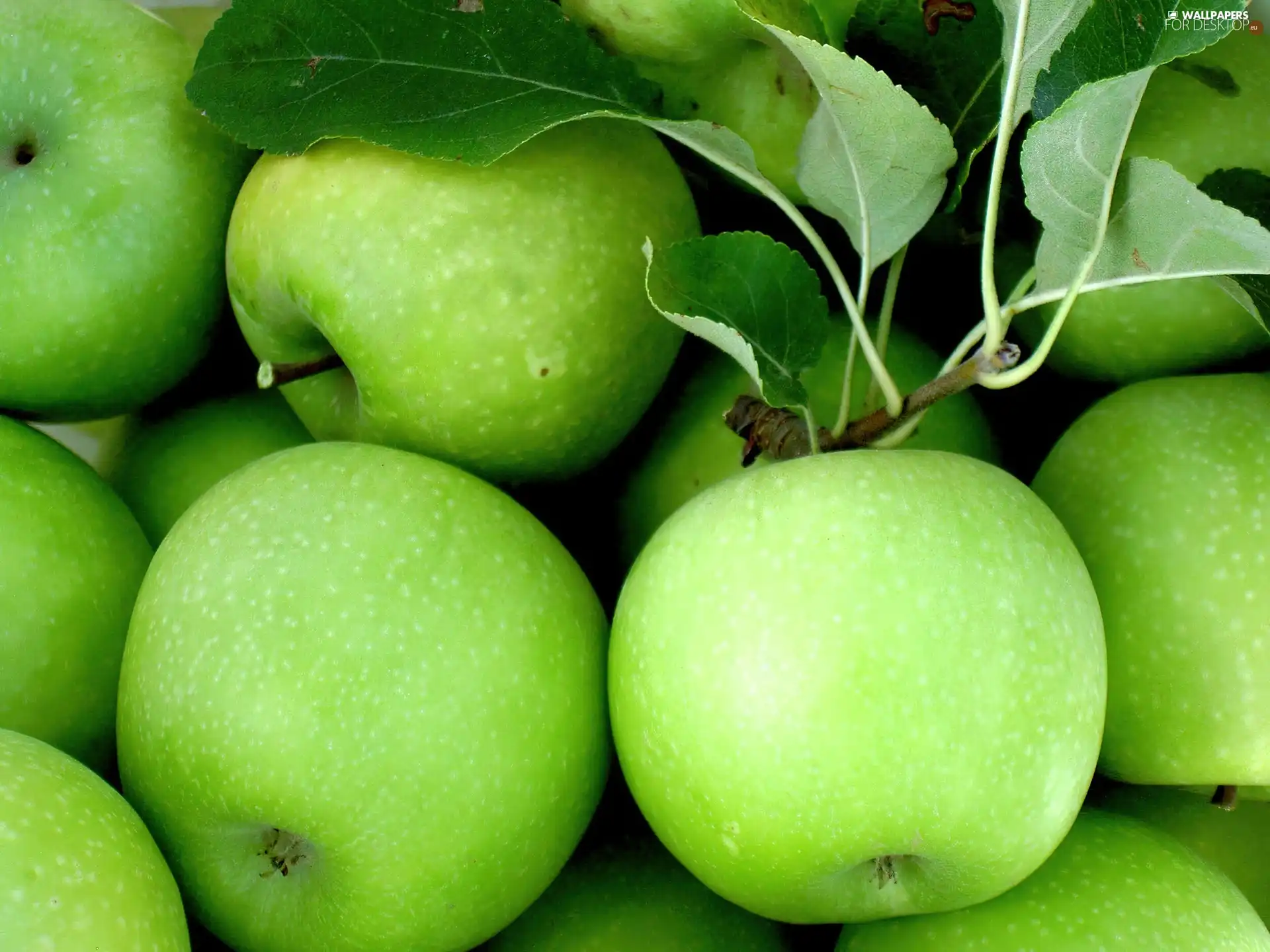 green ones, apples