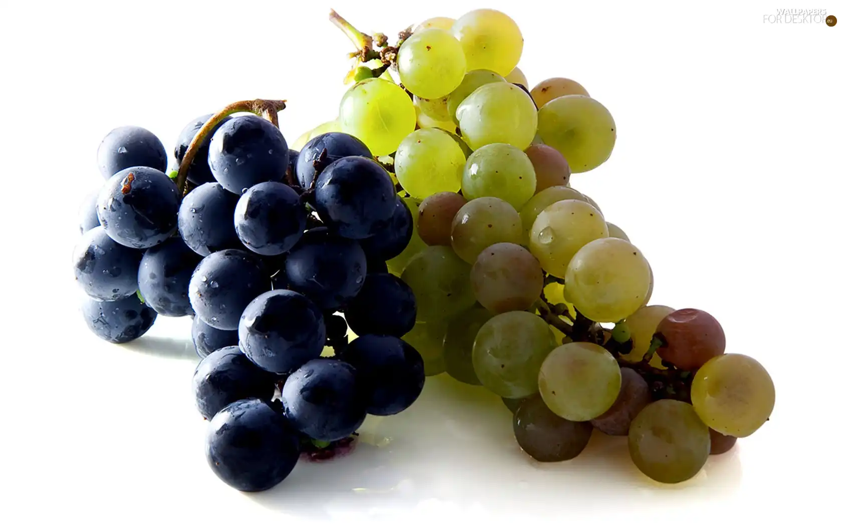 Blue, Grapes, green ones