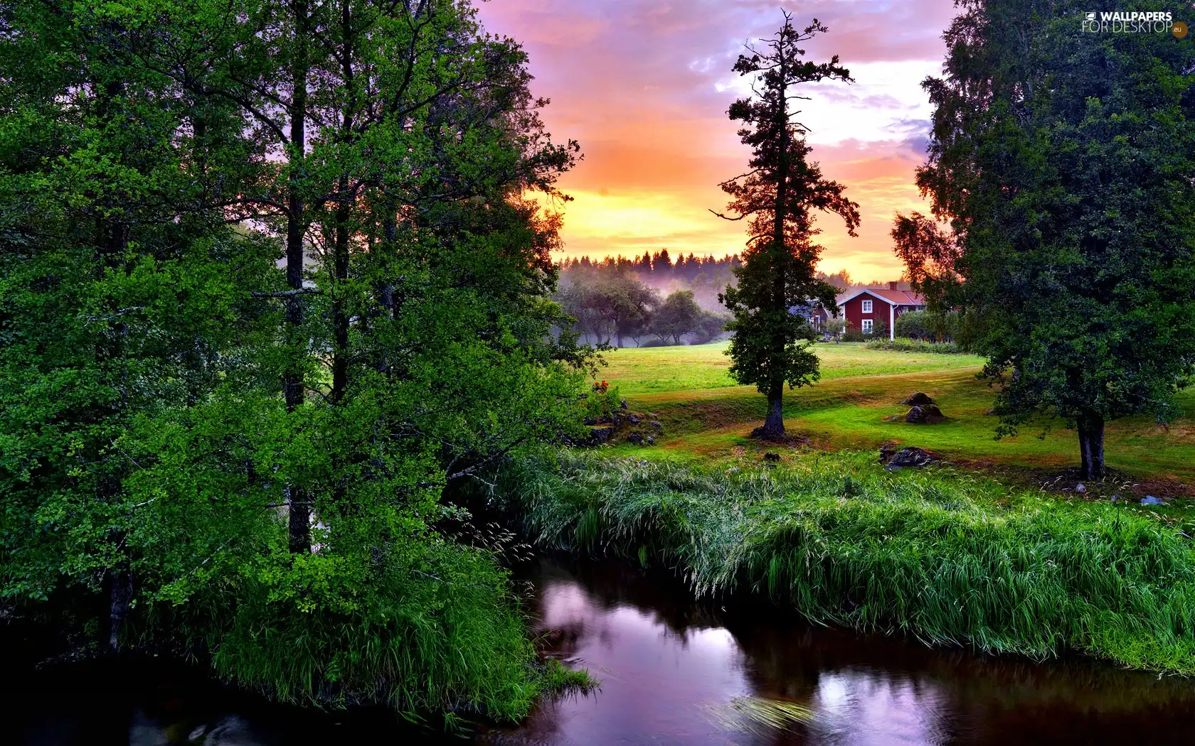 brook, viewes, green, trees