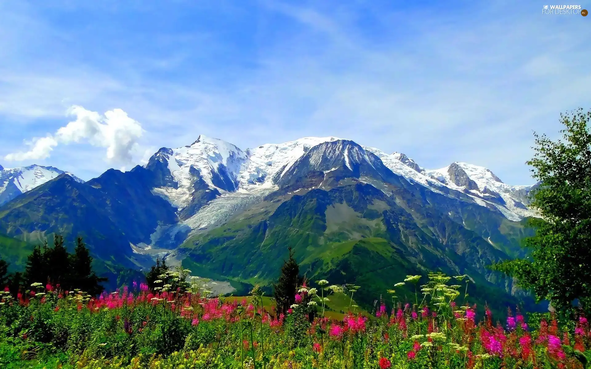 green, Mountains, Flowers