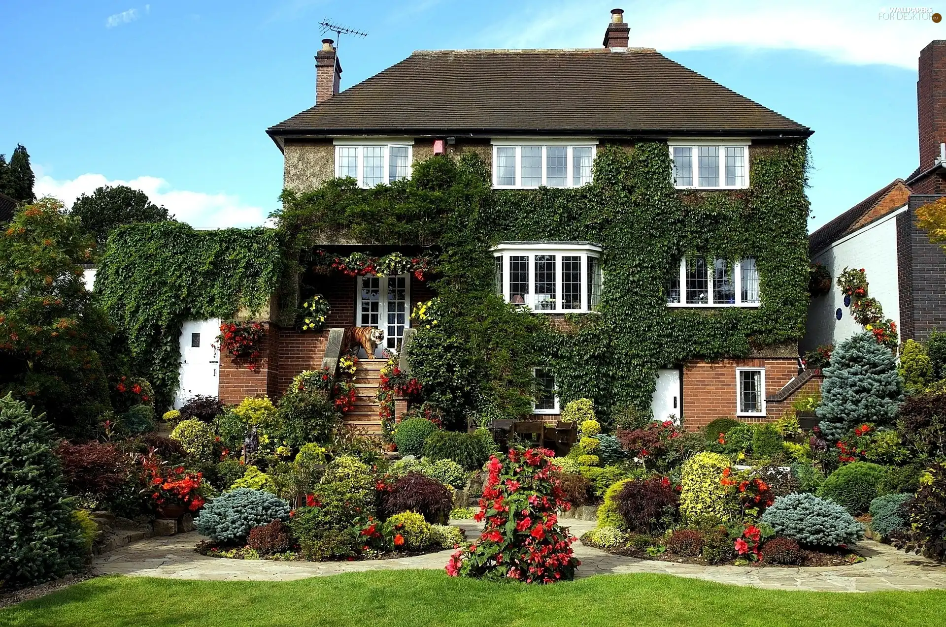 house, summer, green, Garden