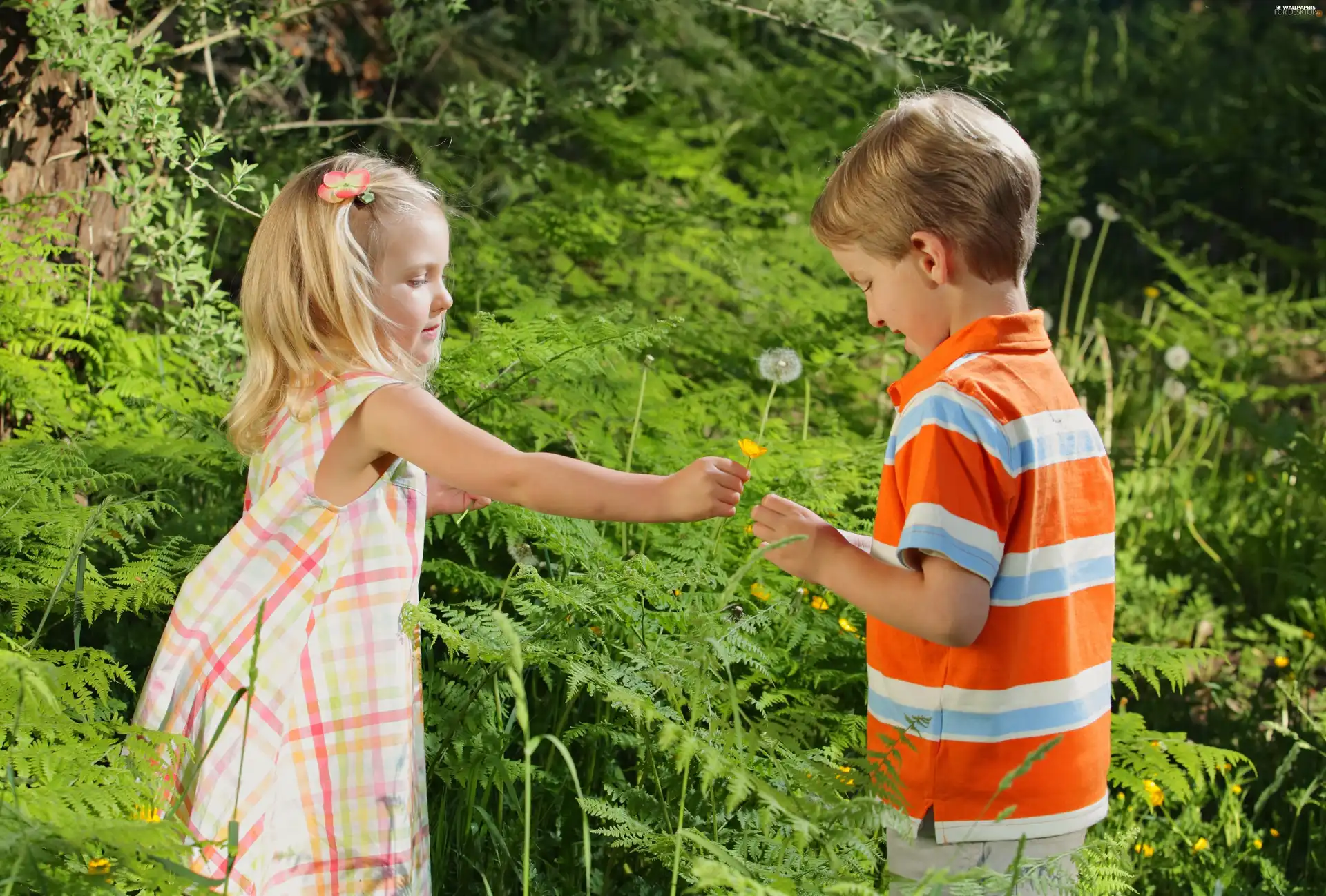 Kids, girl, green, boy