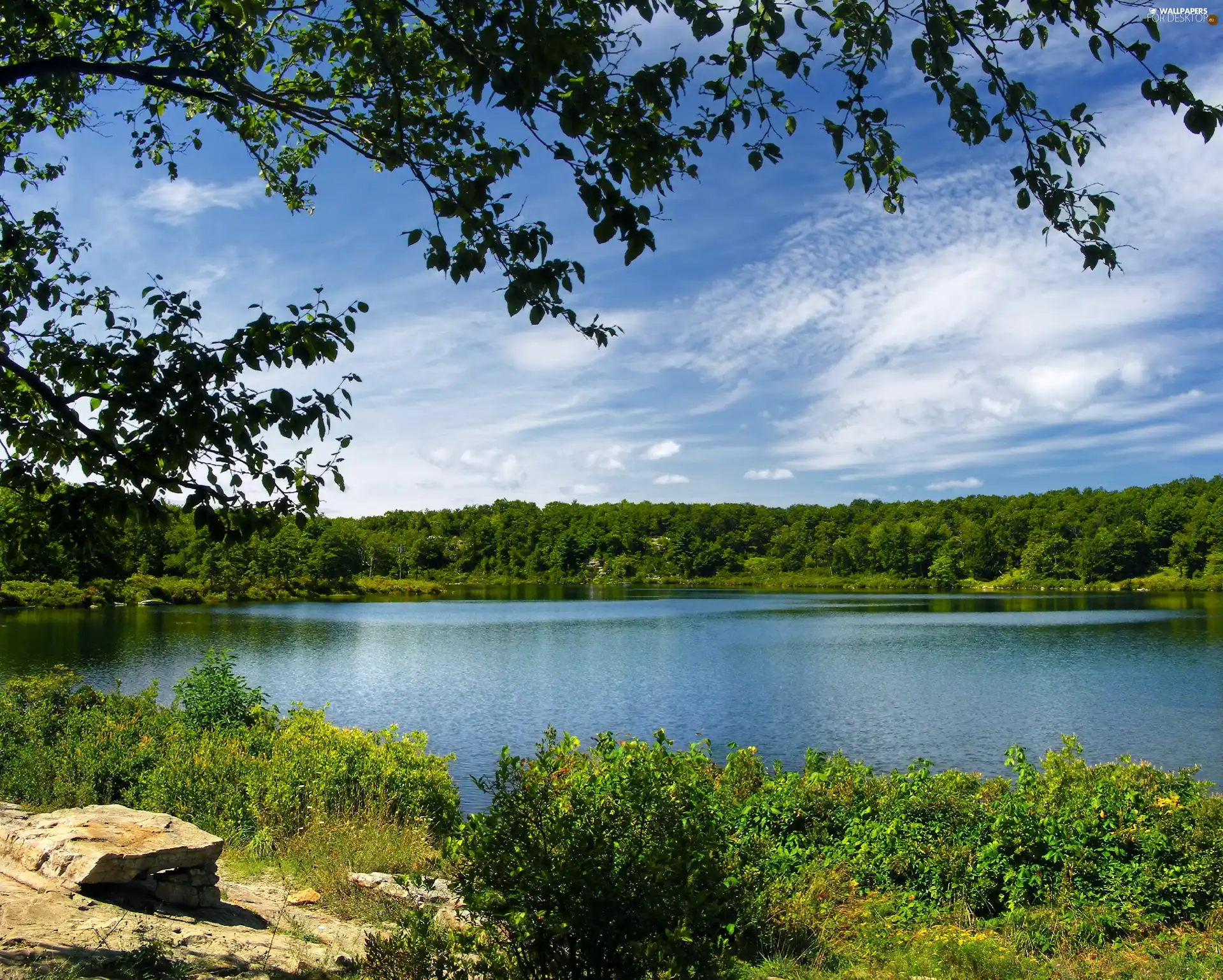 lake, viewes, green, trees