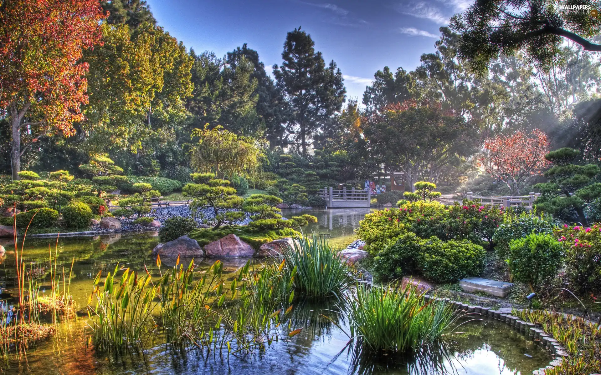 Park, water, green, eye