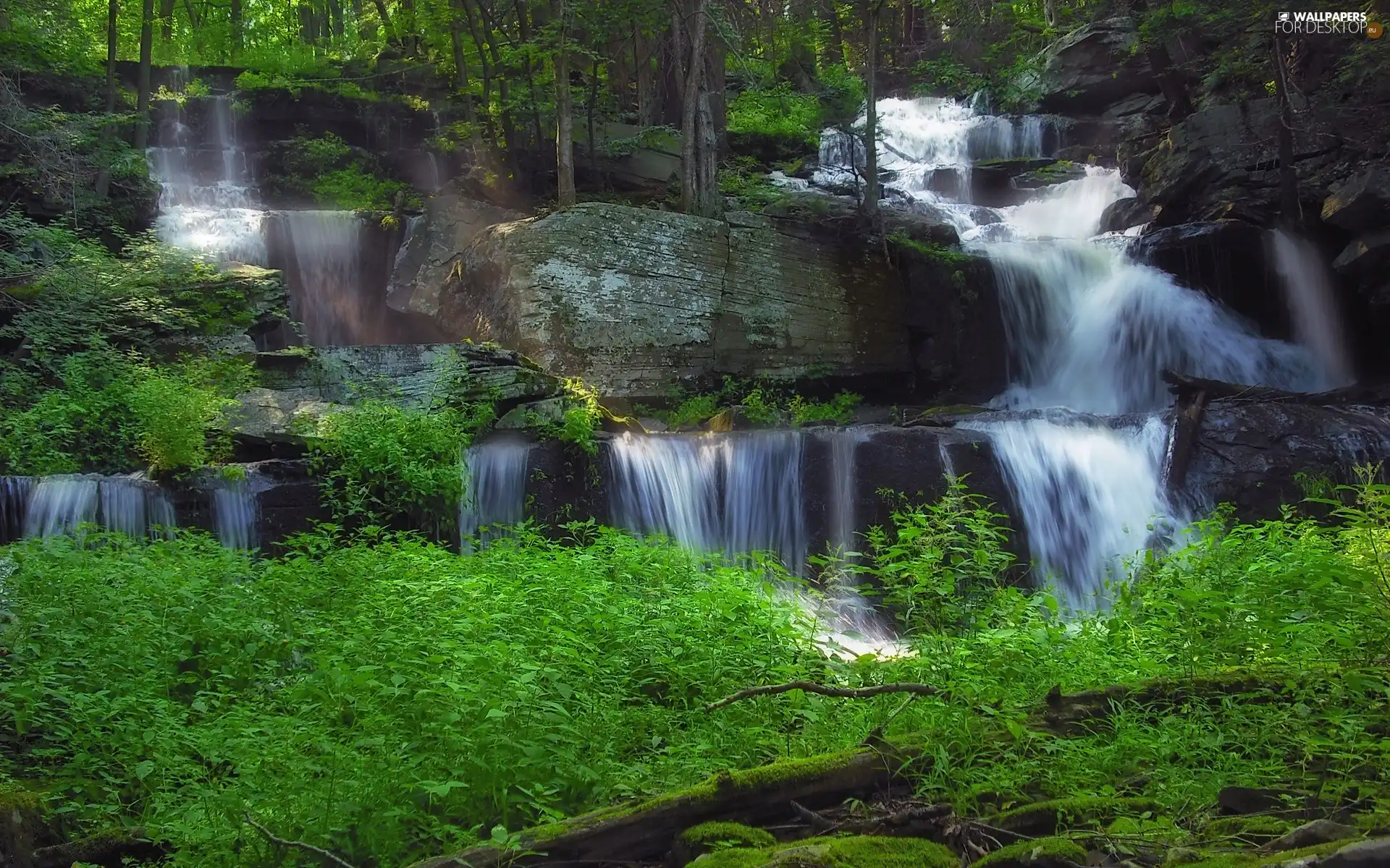 green, waterfall, rocks