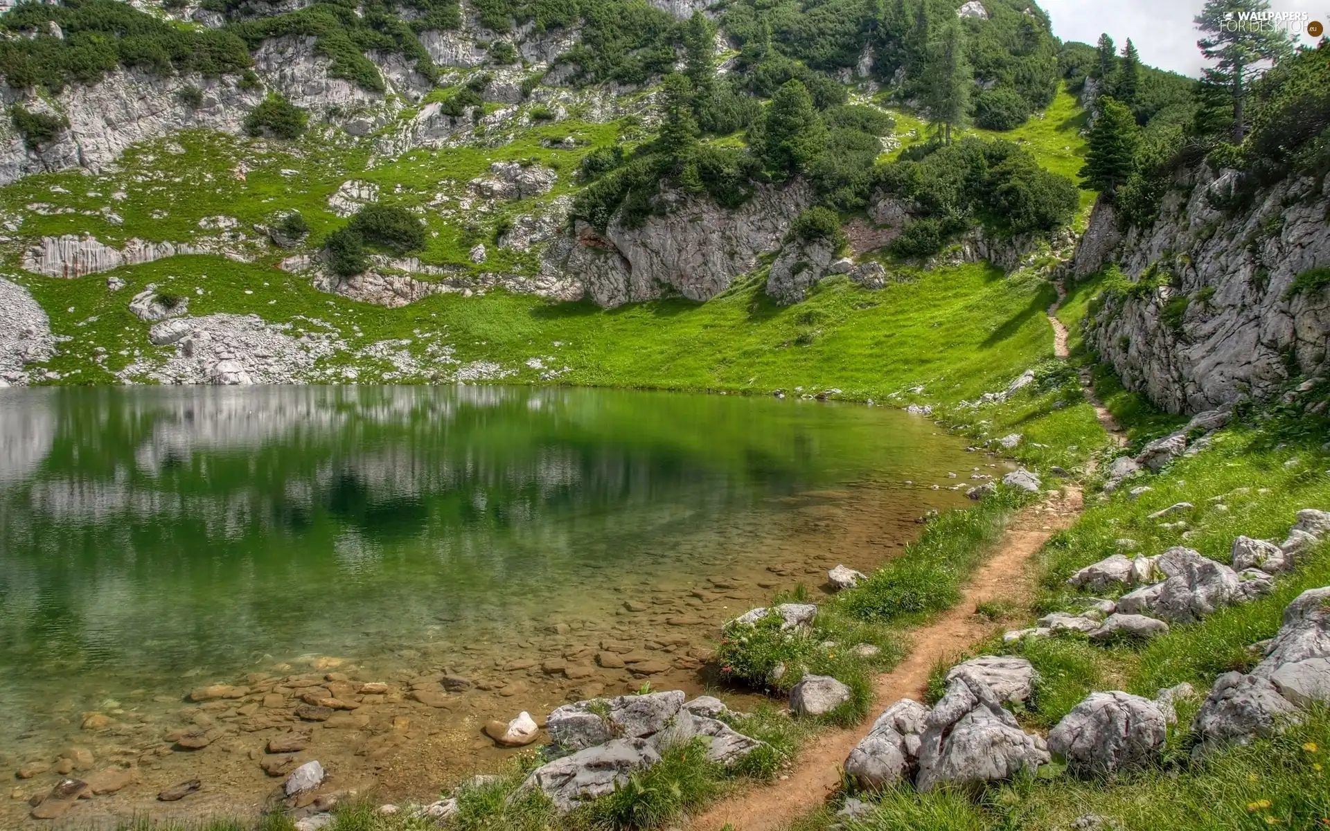 green, rocks, water