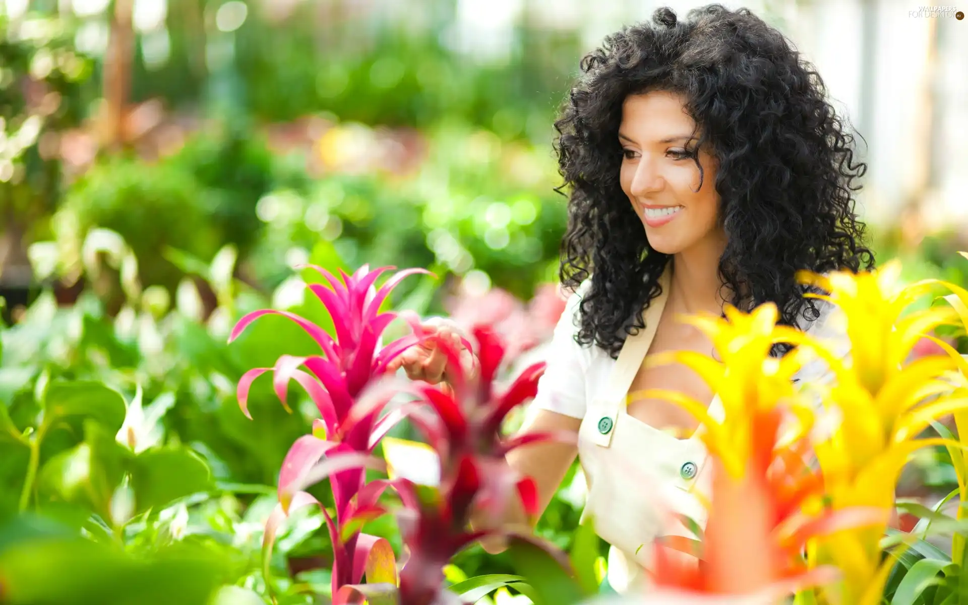 greenhouse, Flowers, smiling, brunette, Beauty