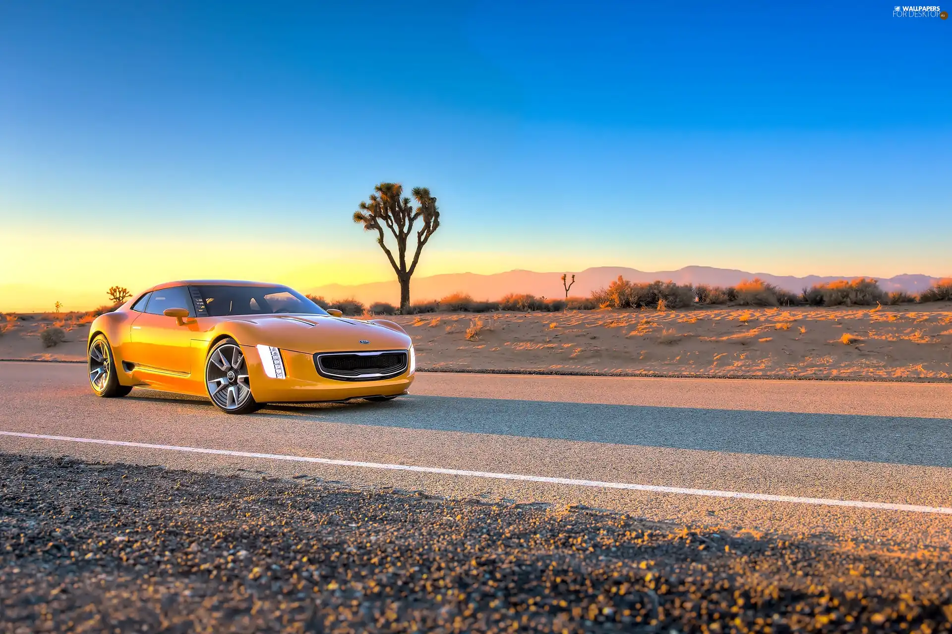 Yellow, Kia, GT4 Stinger