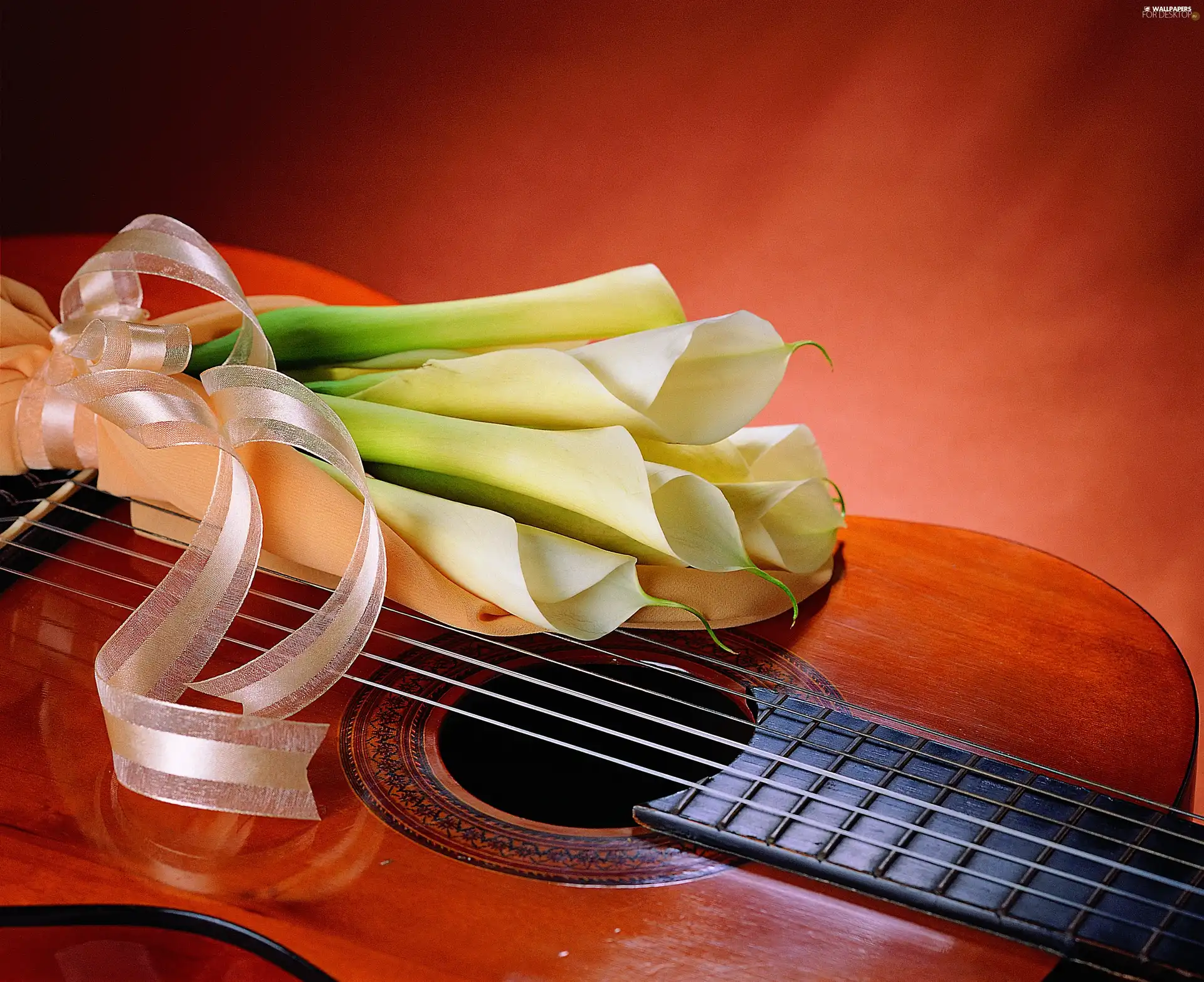 bouquet, Kali, Guitar, white
