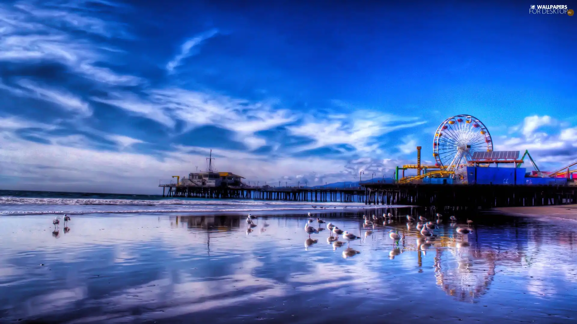 gulls, pier, Beaches