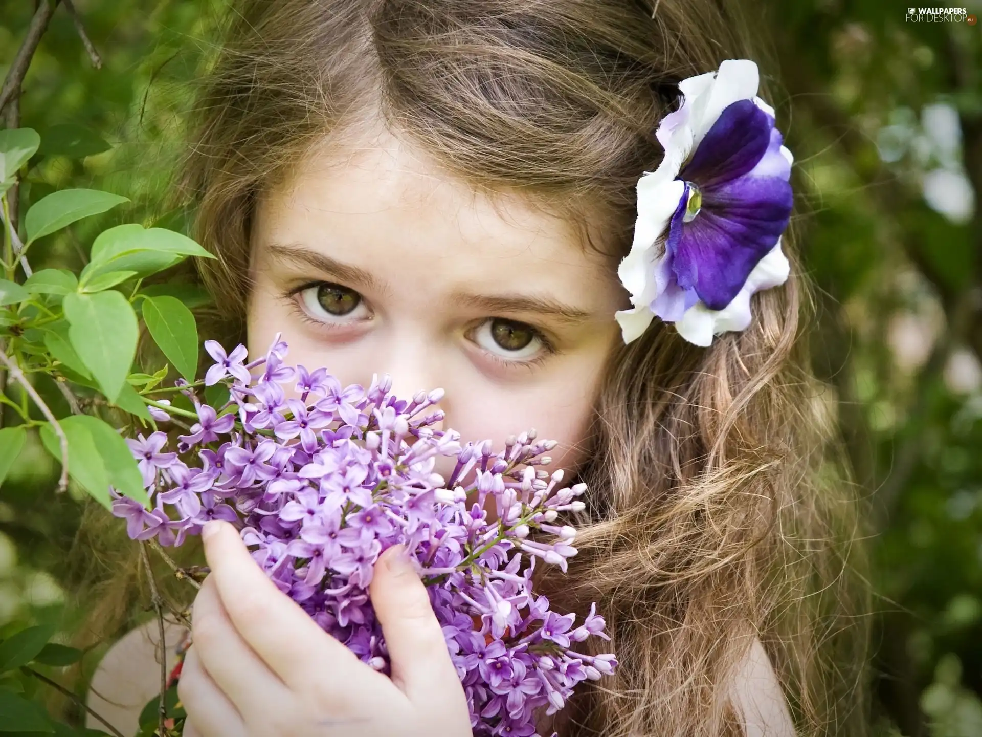 hair, without, Colourfull Flowers, We, girl