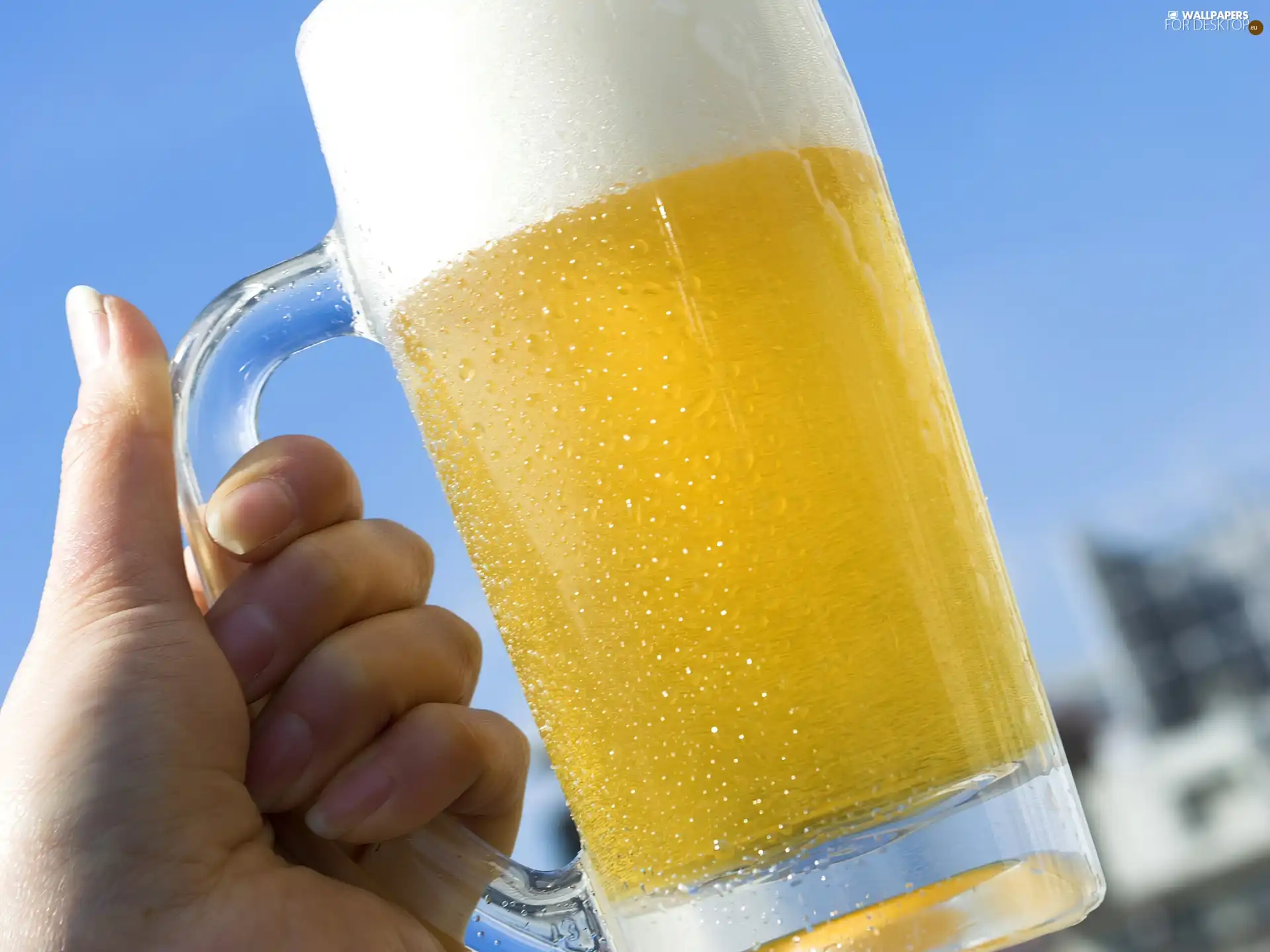 hand, mug, beer