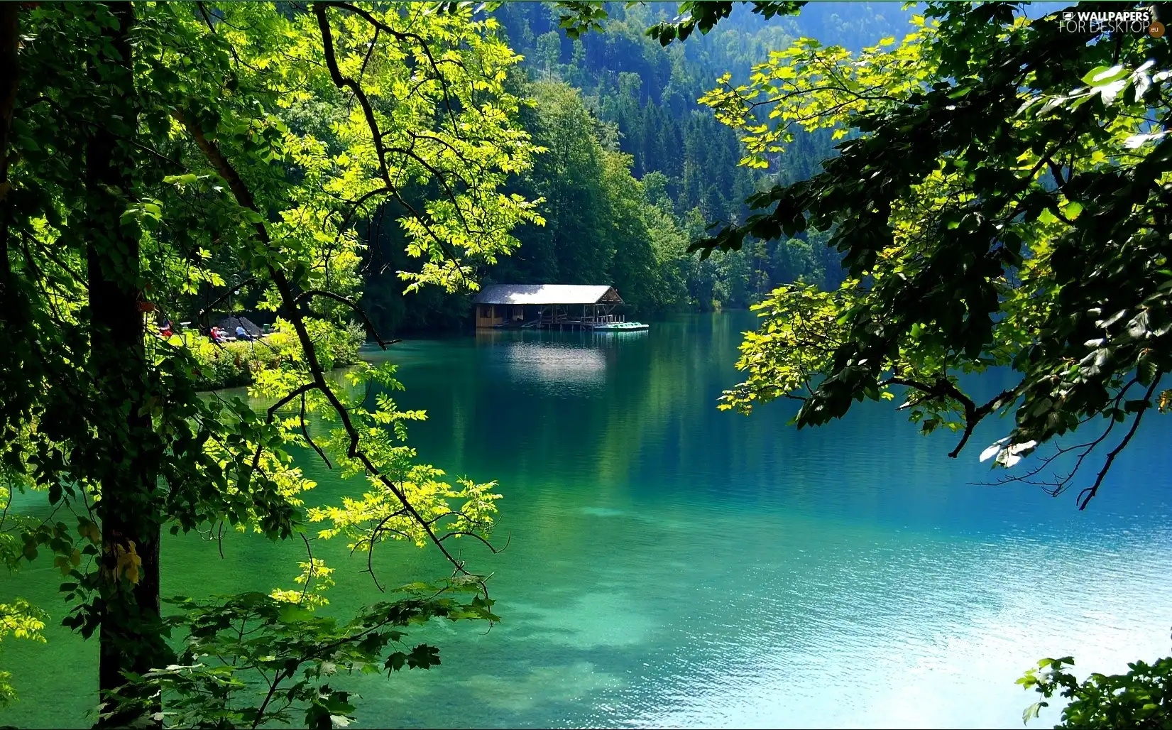 Harbour, Boats, trees, viewes, lake