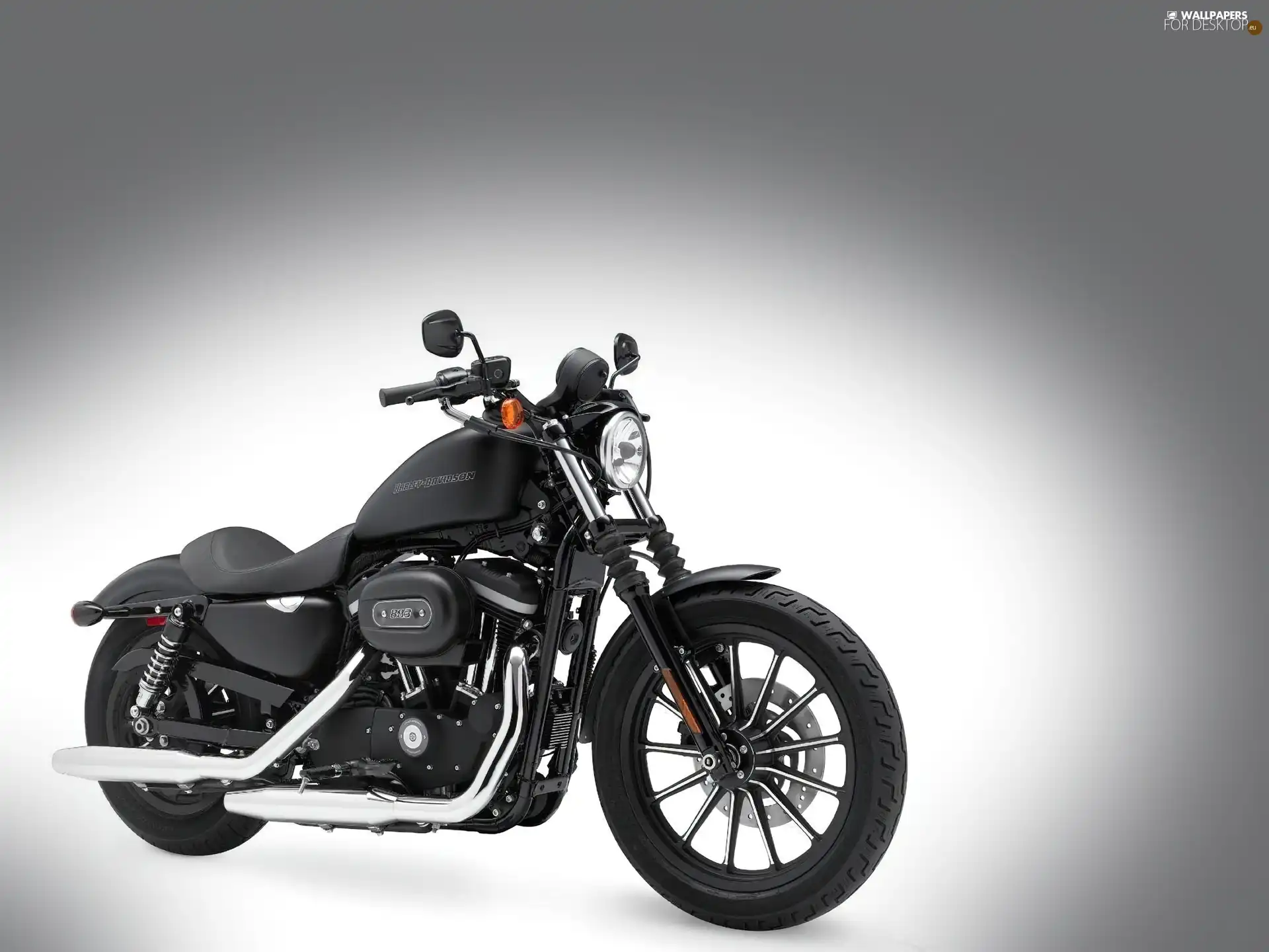 Chopper, Harley Davidson Sportster Iron 88