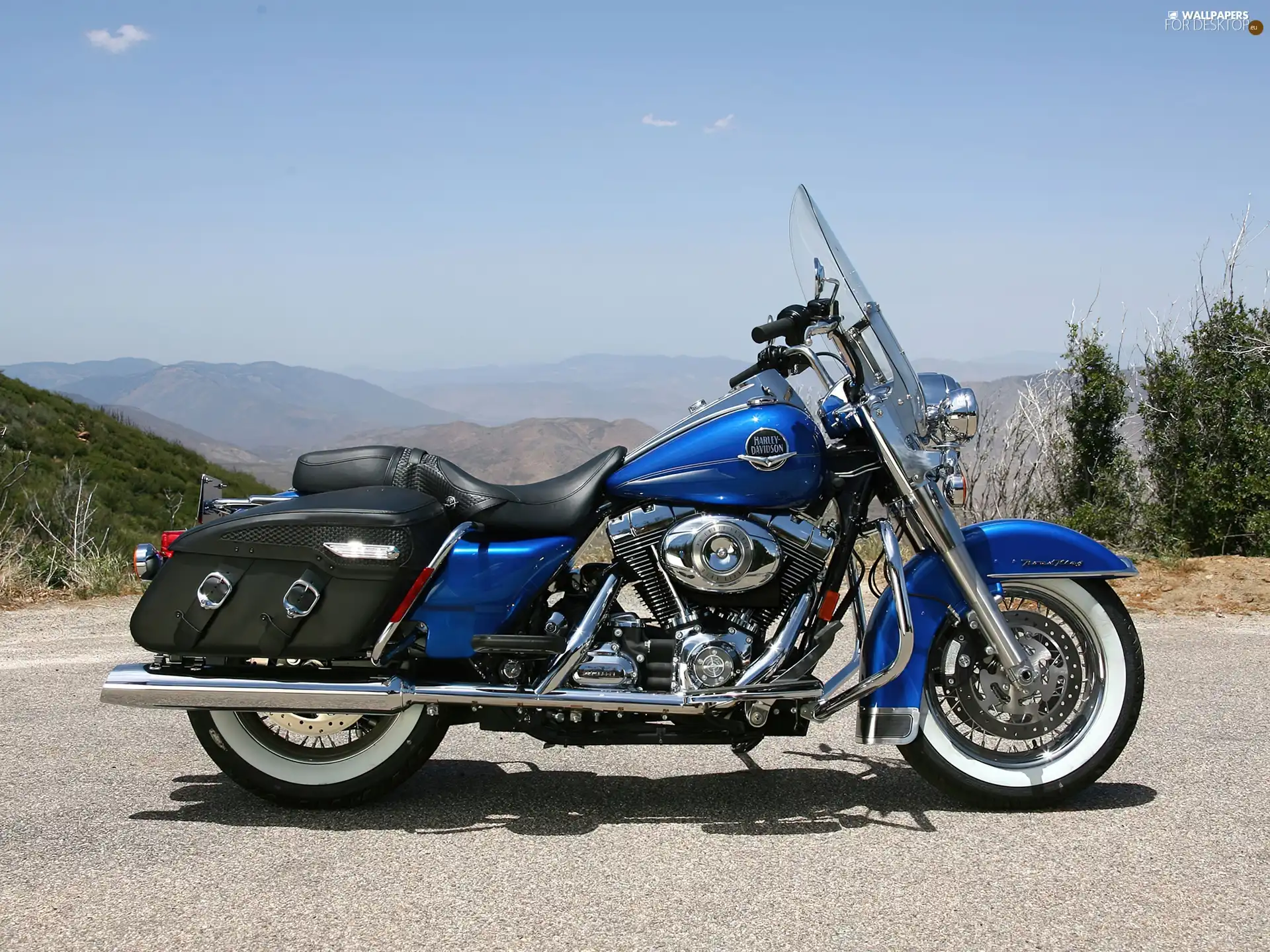 blue, Harley Davidson Road King