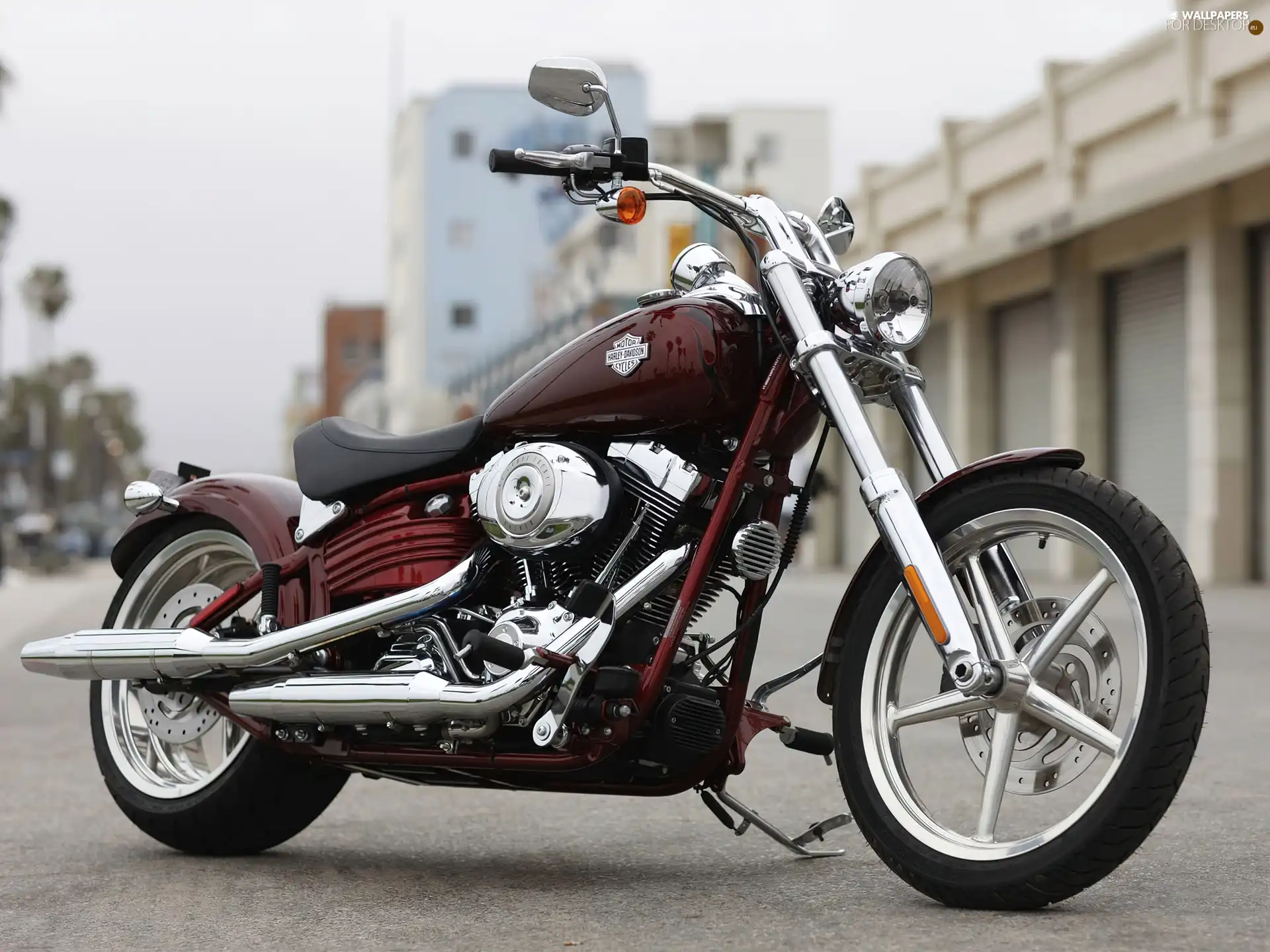 Harley Davidson Softail Rocker C