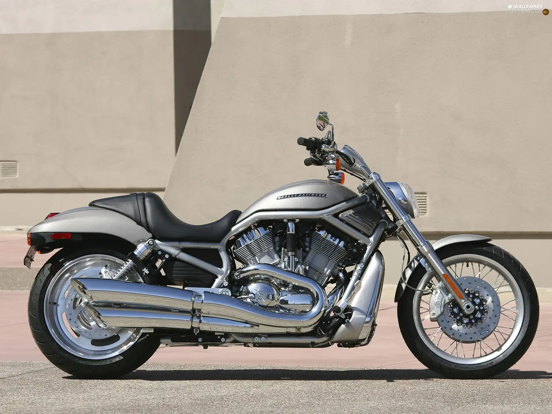 Cruiser, Harley Davidson V-Rod