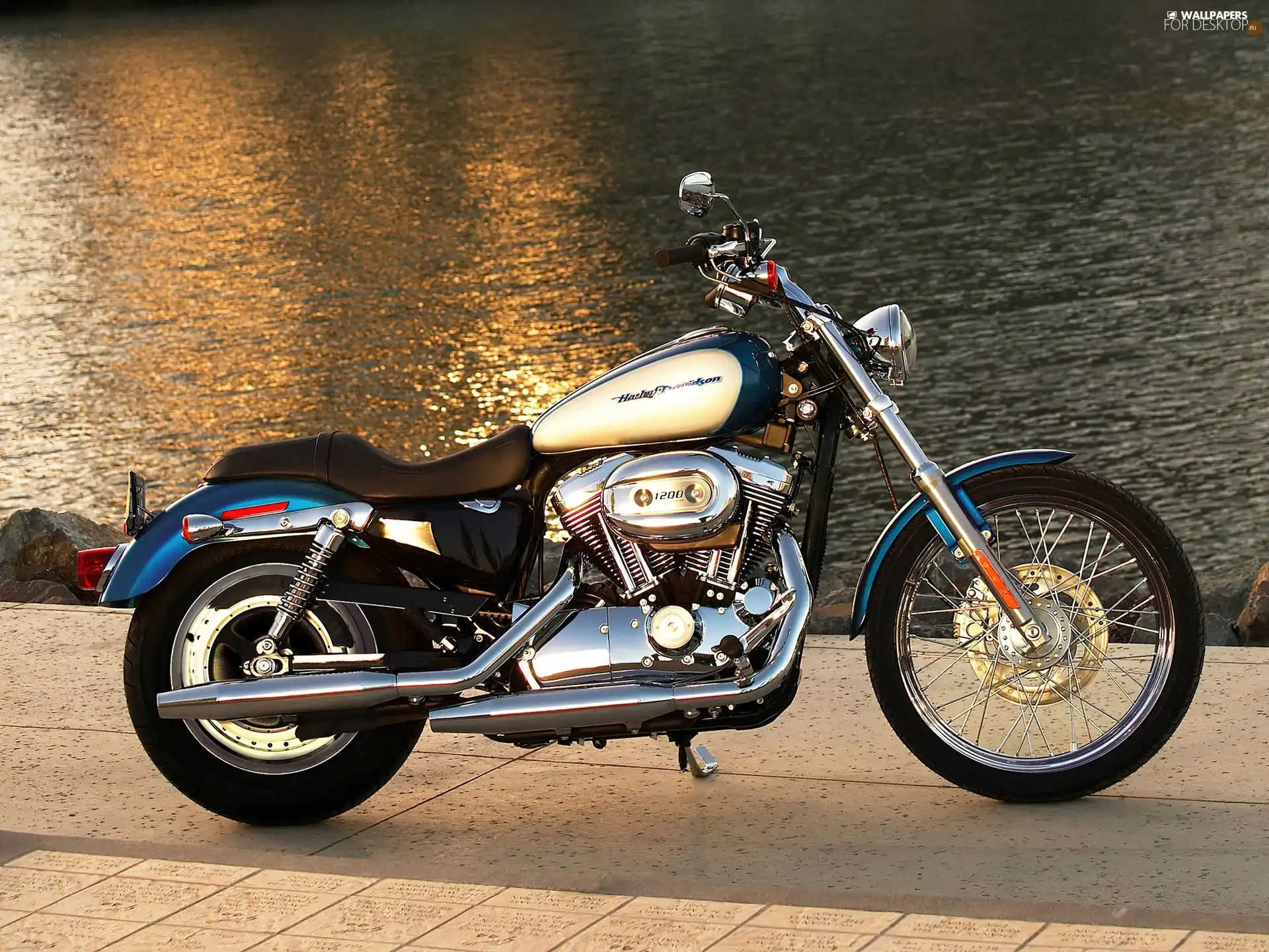 Harley Davidson Sportster XL1200C