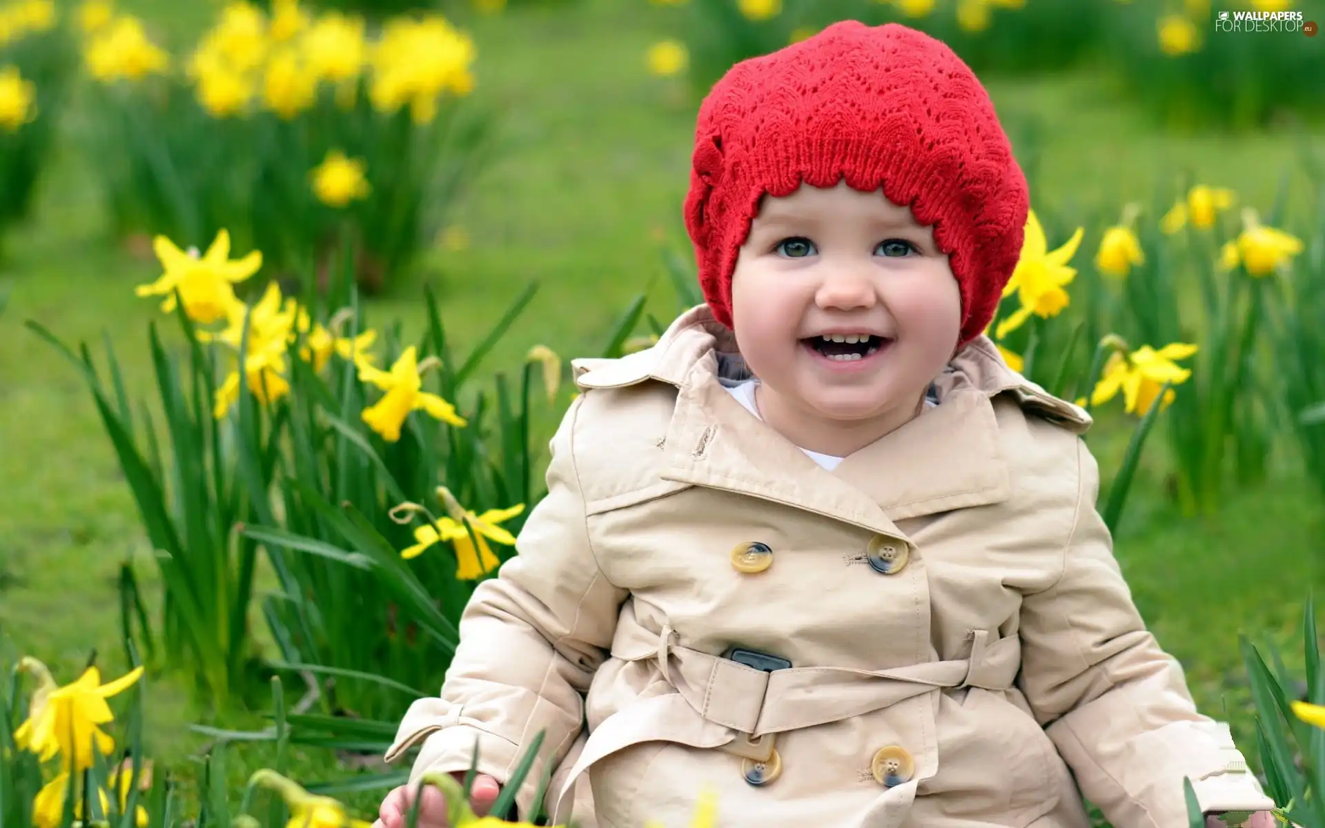 Hat, Daffodils, girl, red hot, Kid