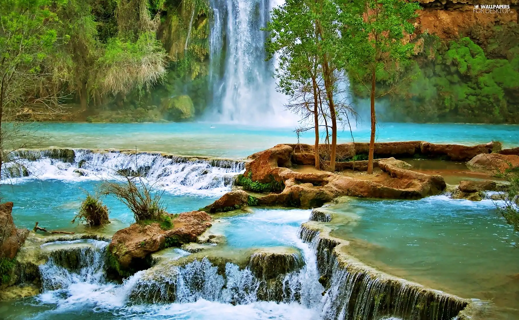 rocks, trees, Havasu, Arizona, waterfall, viewes