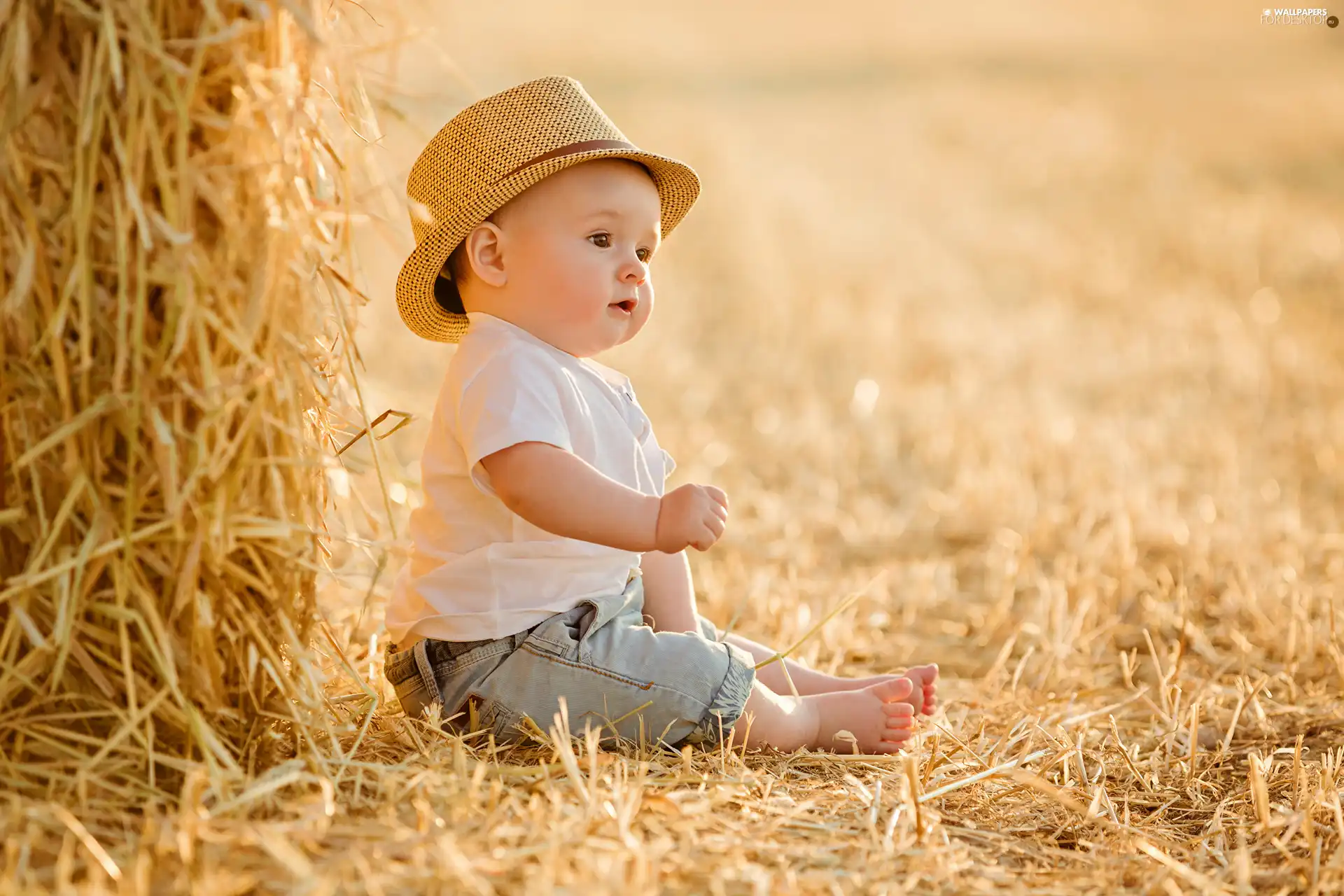 boy, Field, Hay, Hat