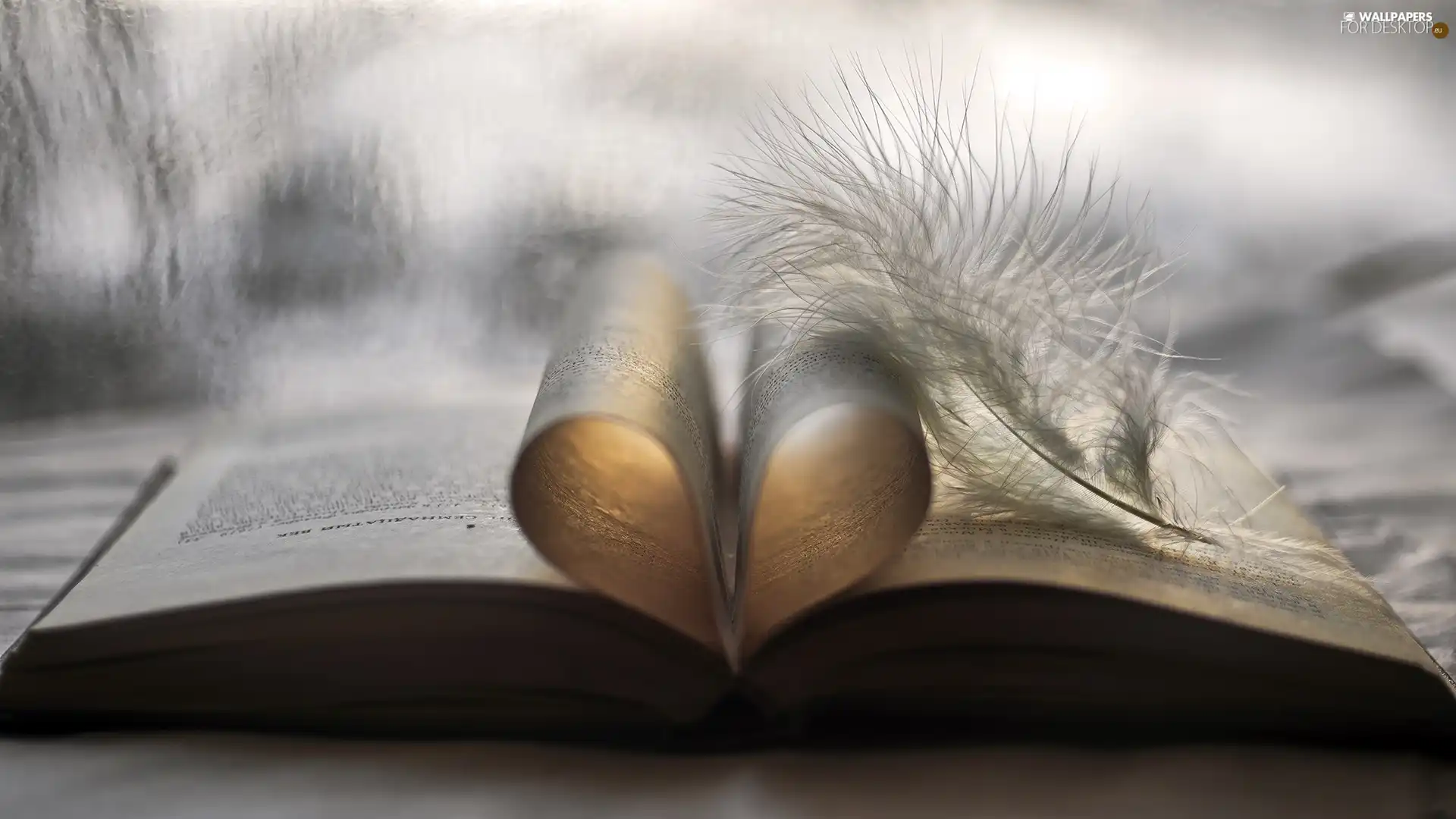 Book, White, feather, Heart