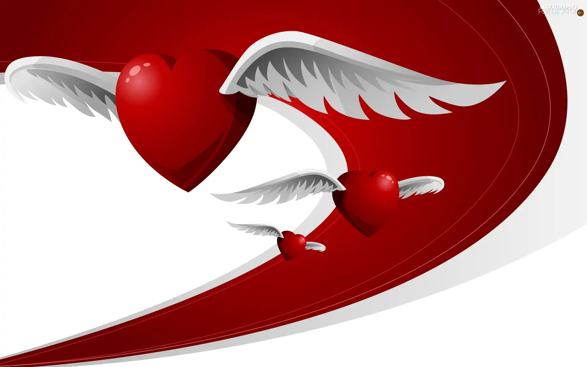 heart, wings, Valentine