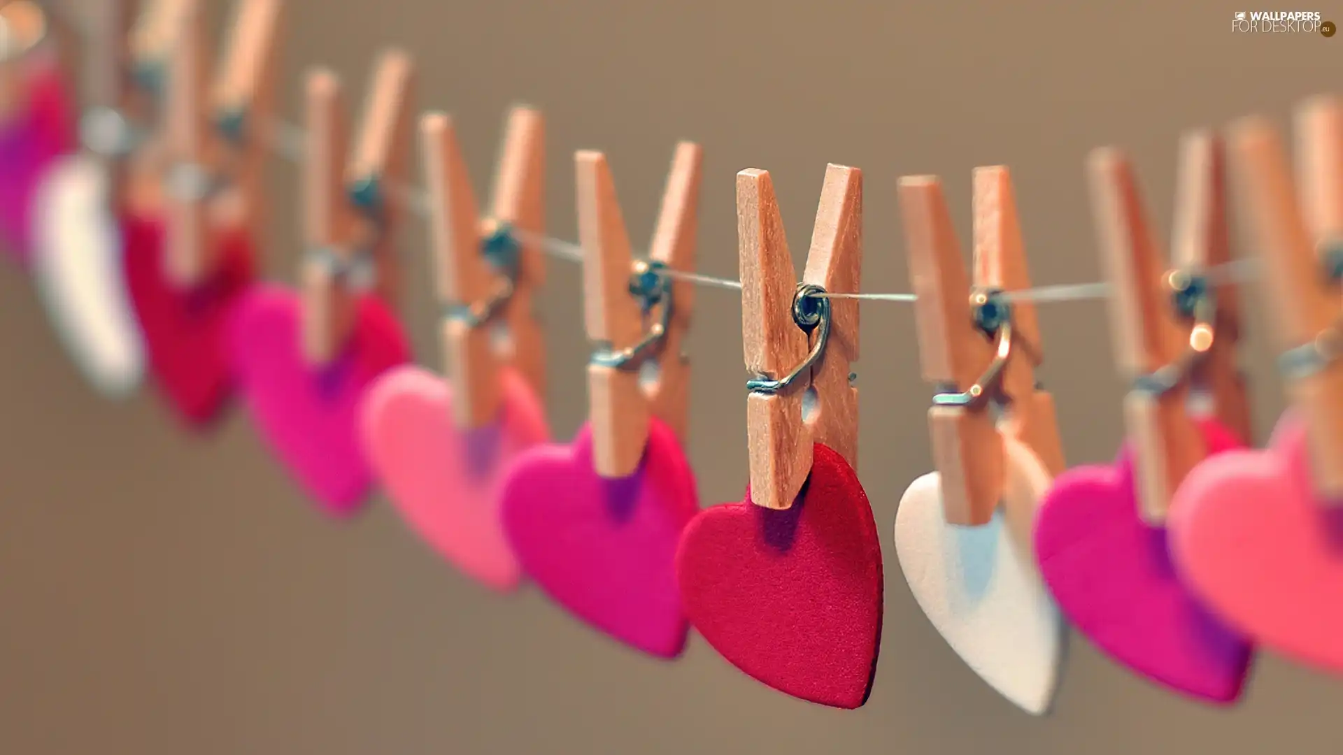 hearts, Staples, color