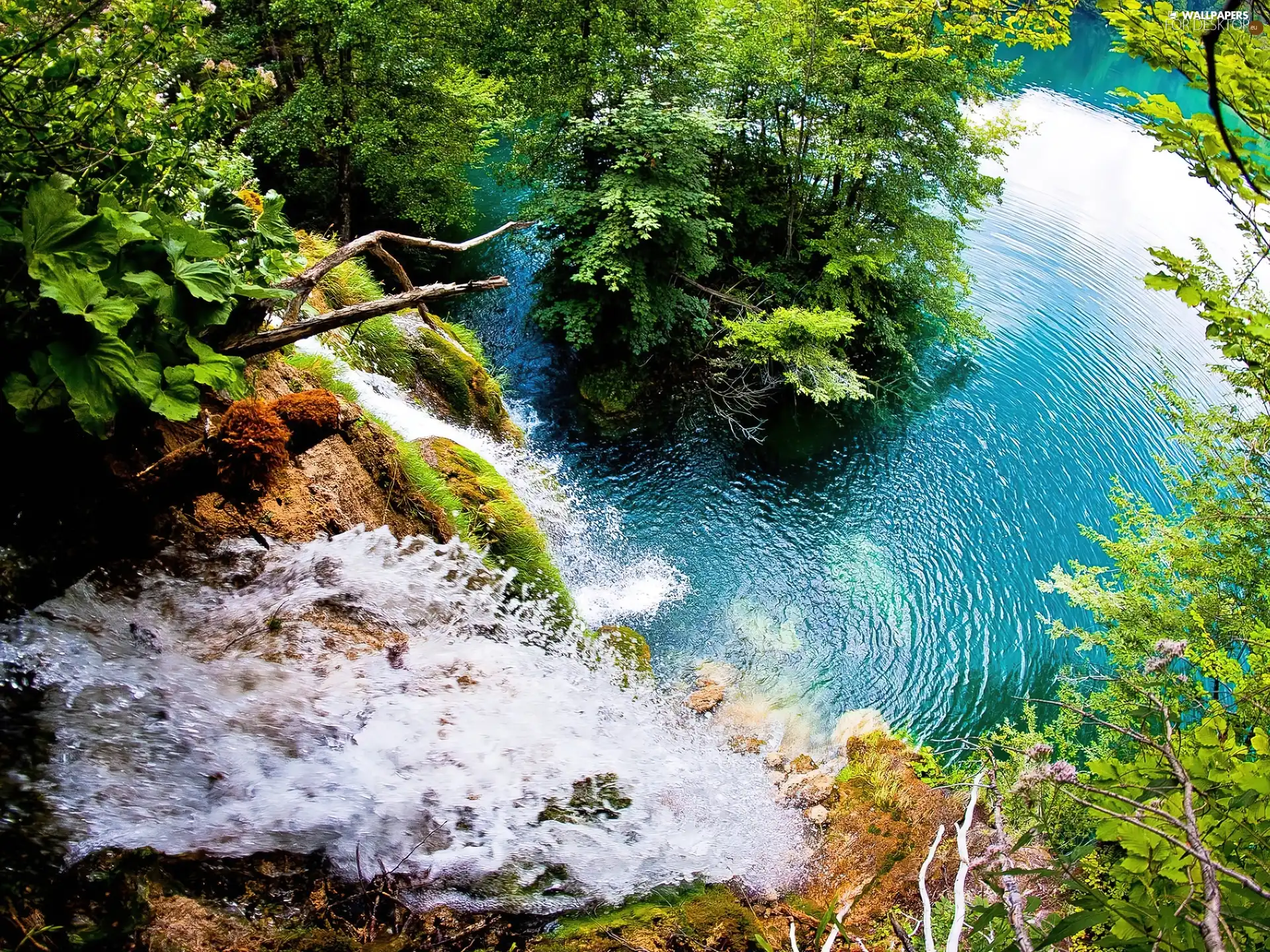 Rocks, green, height, waterfall