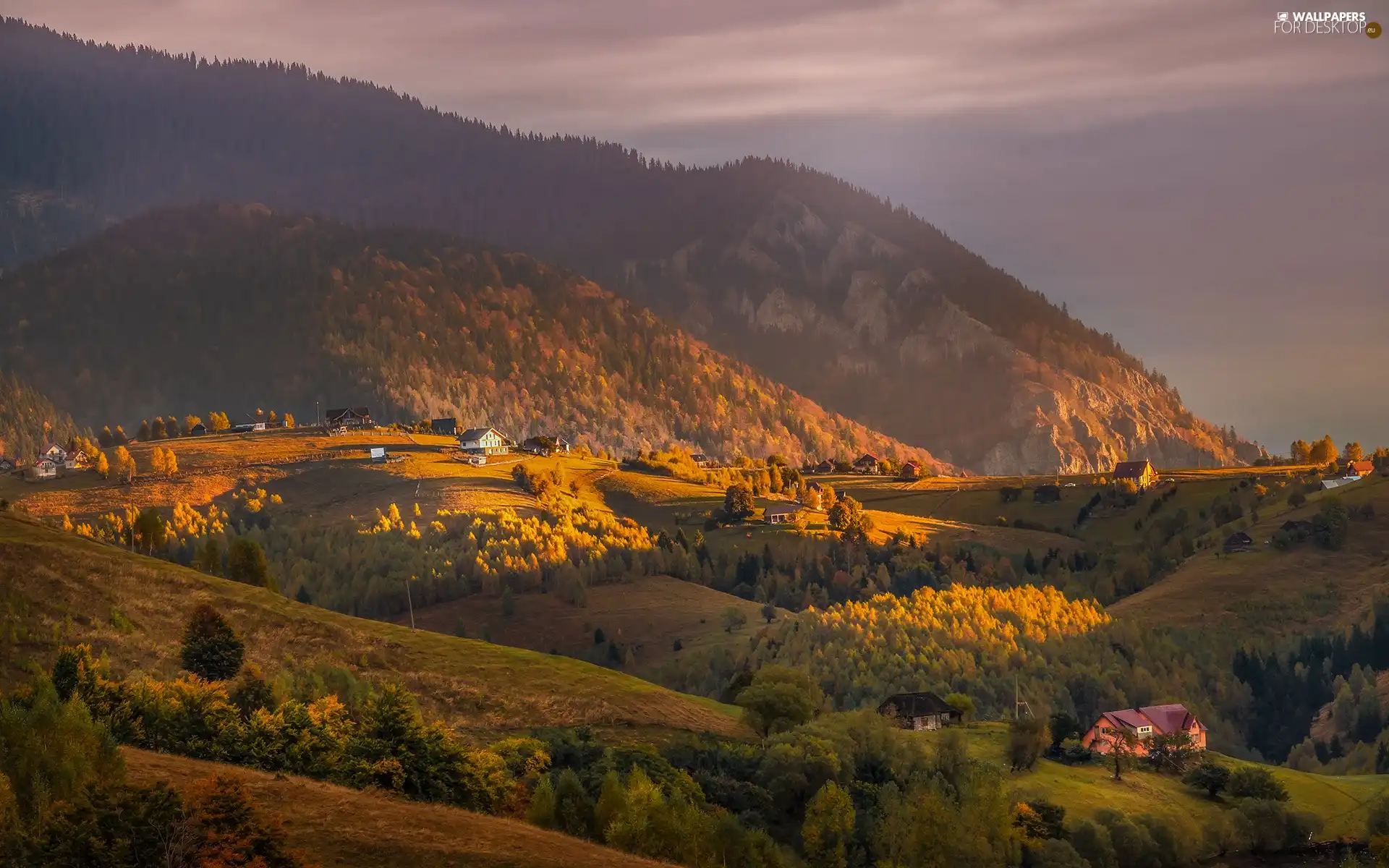 trees, viewes, The Hills, Houses, Mountains