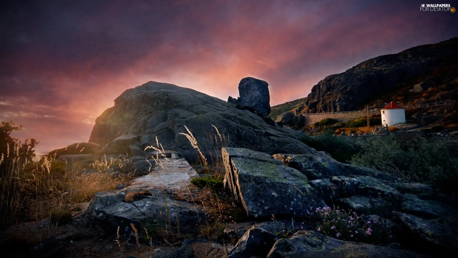 Rocky, The Hills