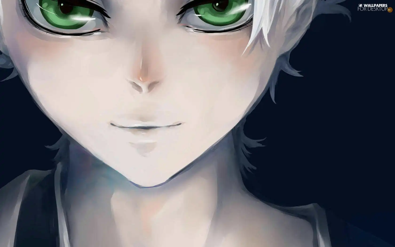 Hitsugaya Toshiro, Eyes