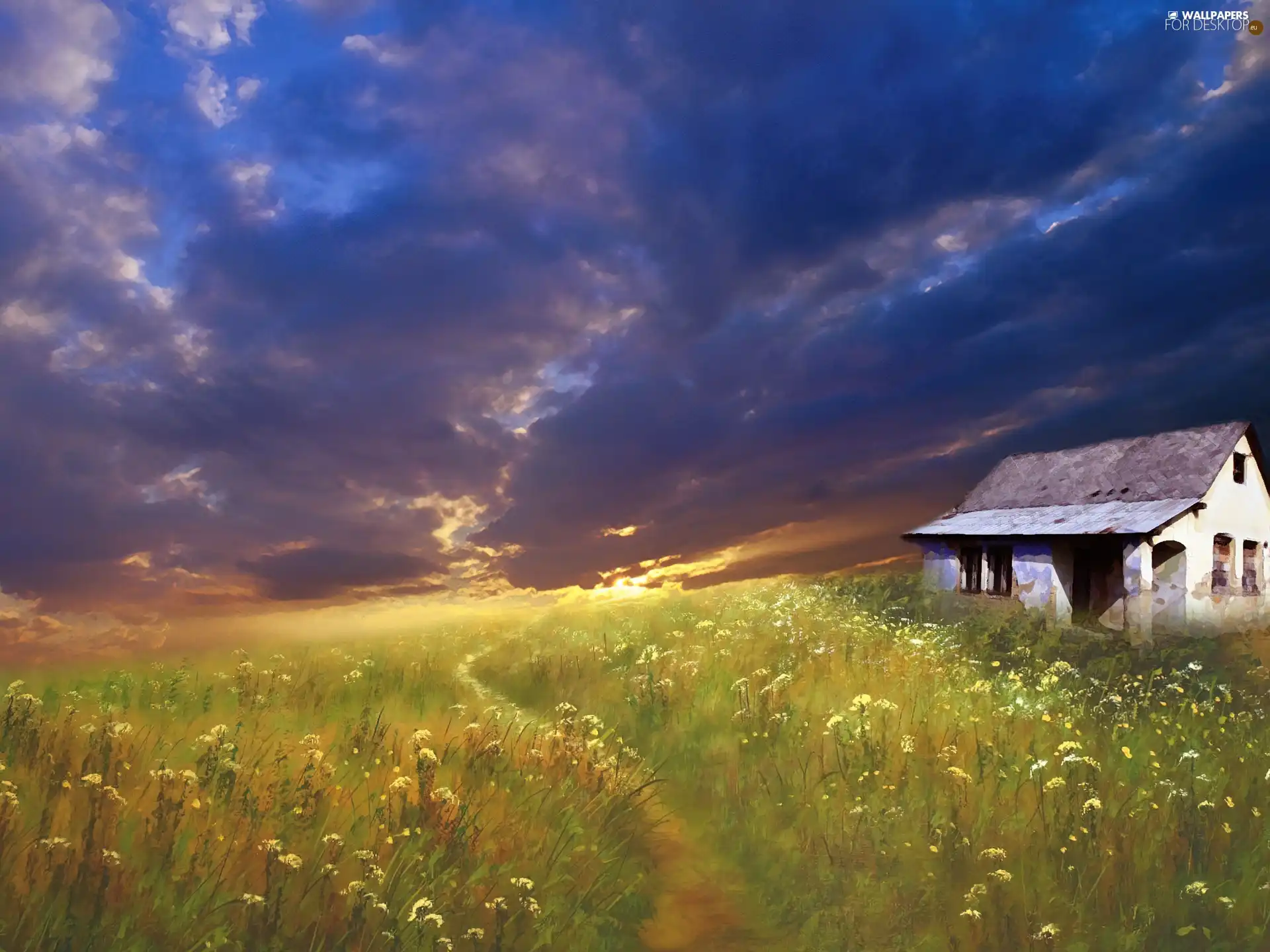 Meadow, west, Home, Art, Flowers, sun