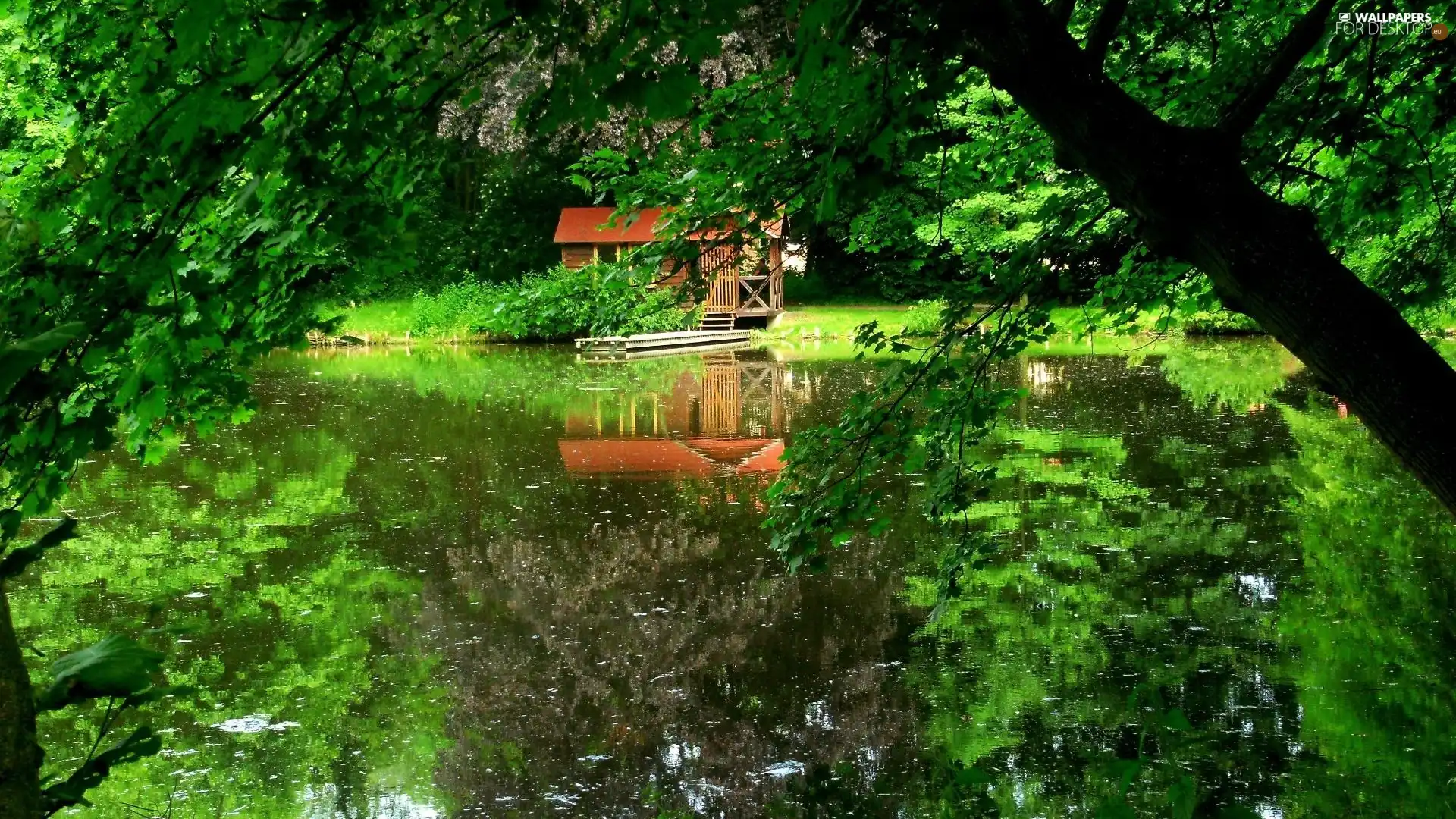 lake, viewes, Home, trees