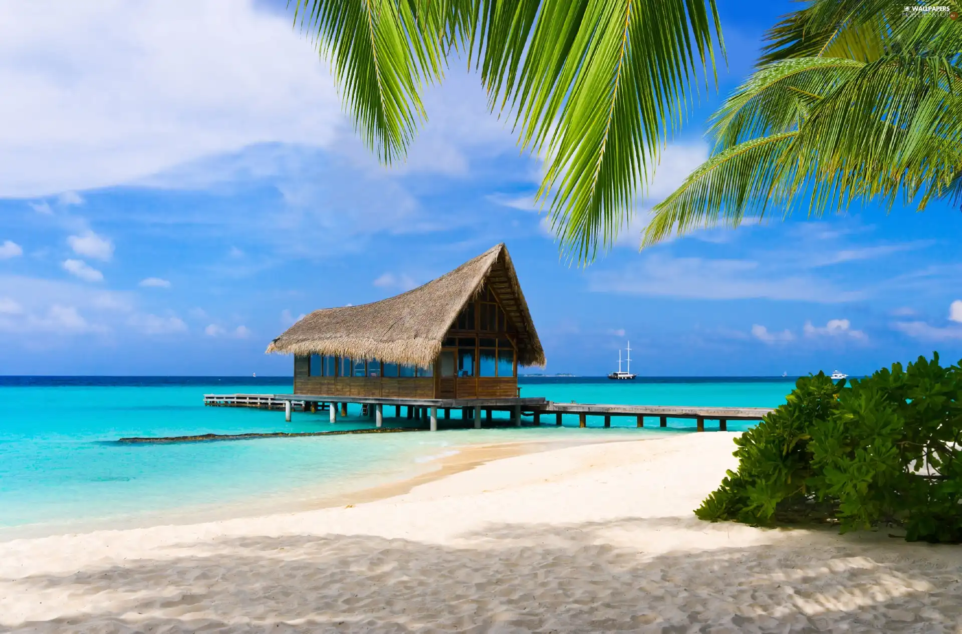 sea, pier, Home, Beaches