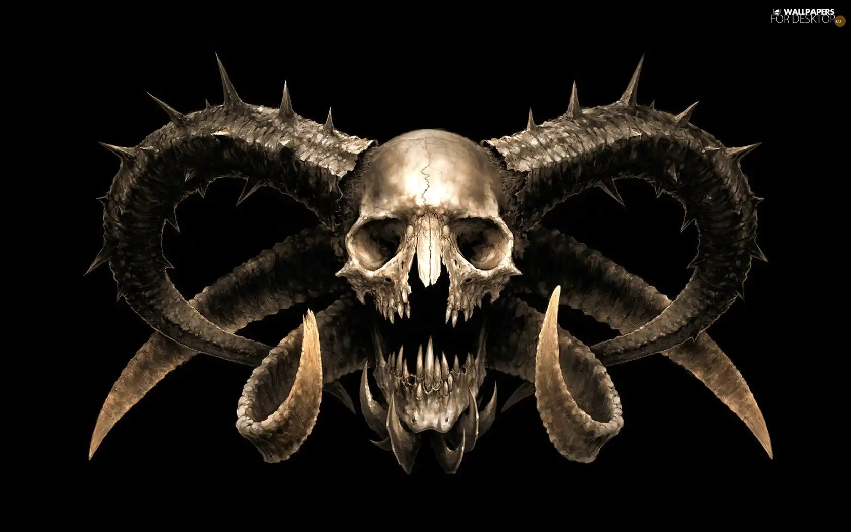 Skull, horns