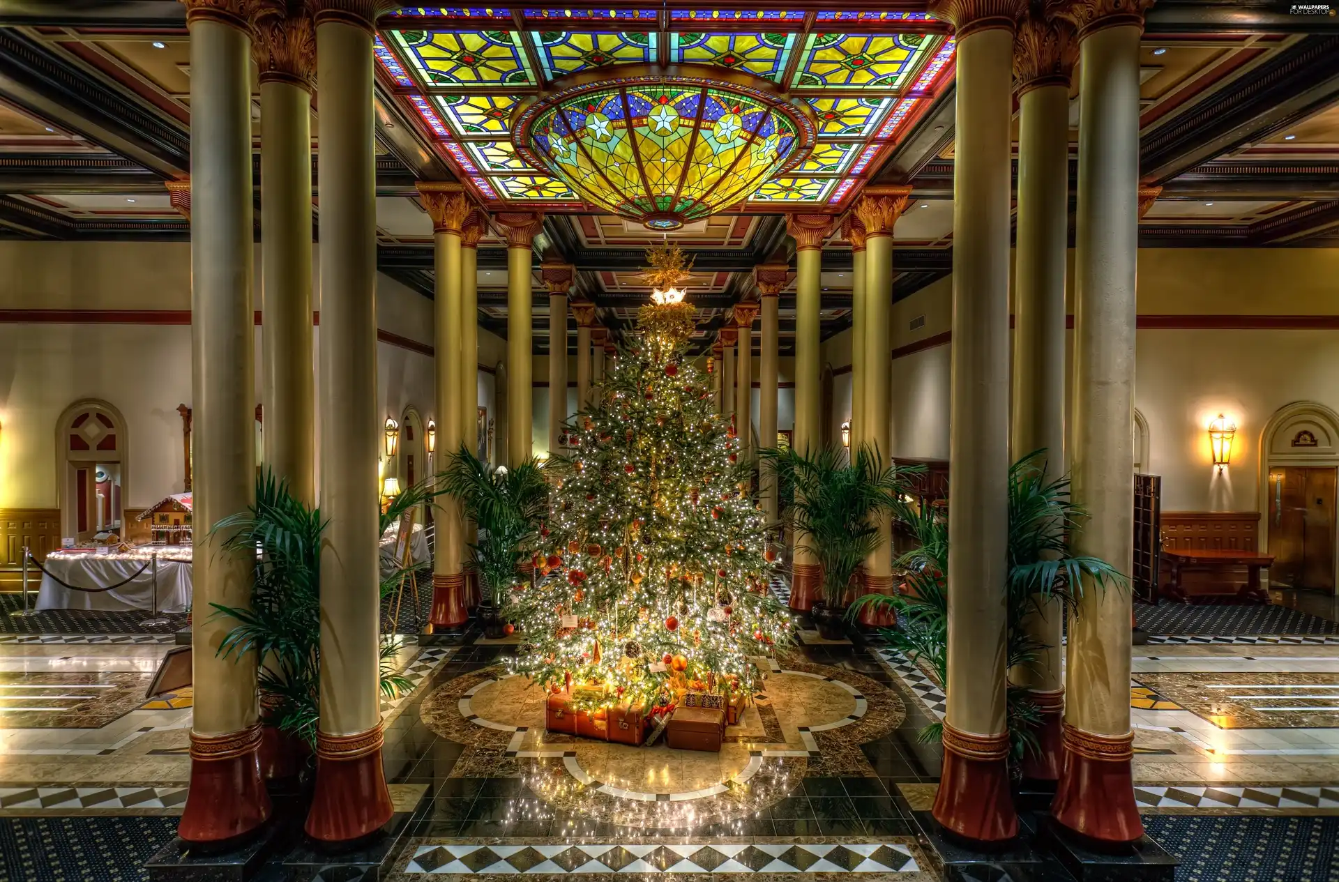 Beauty, christmas tree, Hotel hall, high