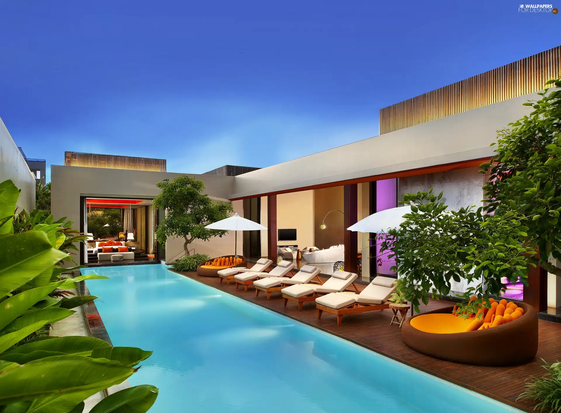Hotel hall, Pool