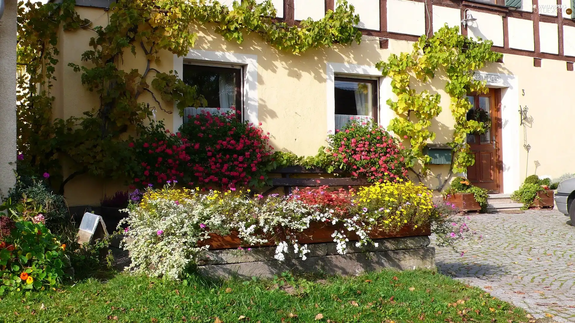 Garden, green, house, Flowers